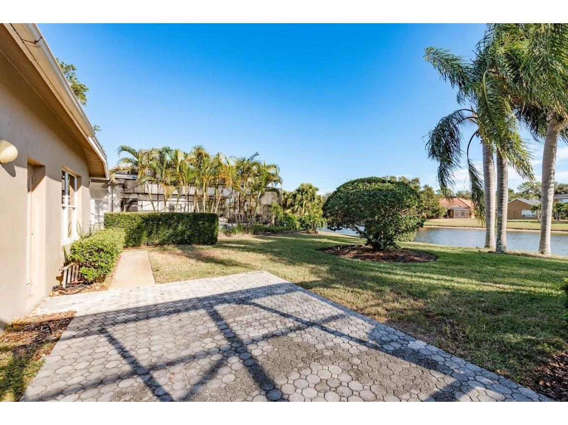 3866 Moreno Drive Palm Harbor FL 34685 TB8445249 image42
