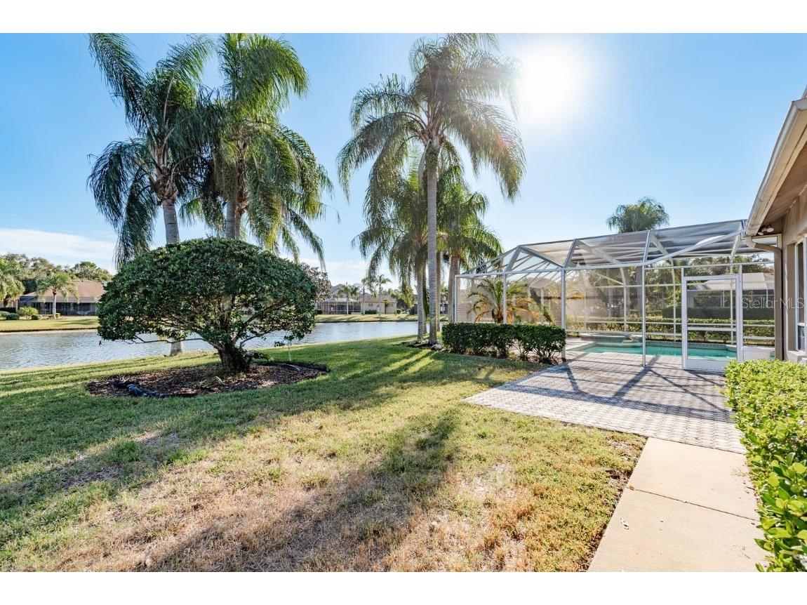 3866 Moreno Drive Palm Harbor FL 34685 TB8445249 image43