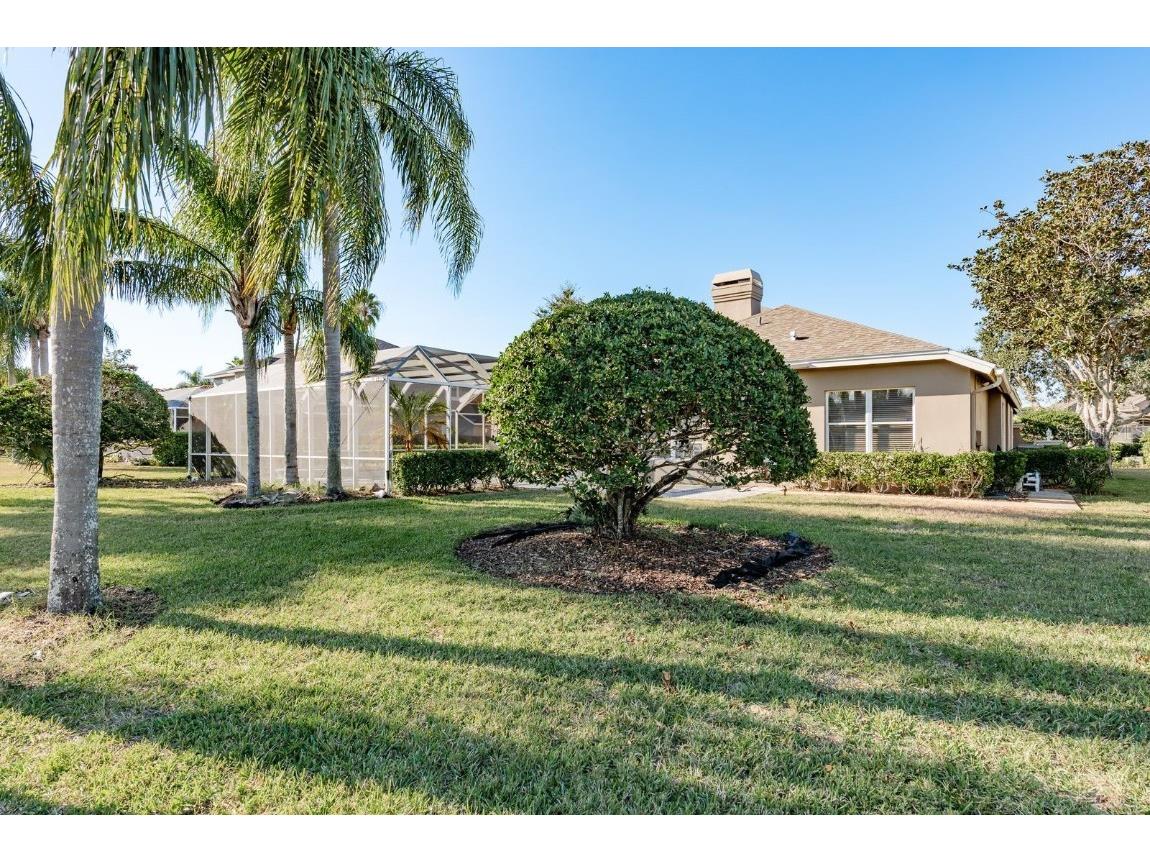 3866 Moreno Drive Palm Harbor FL 34685 TB8445249 image45