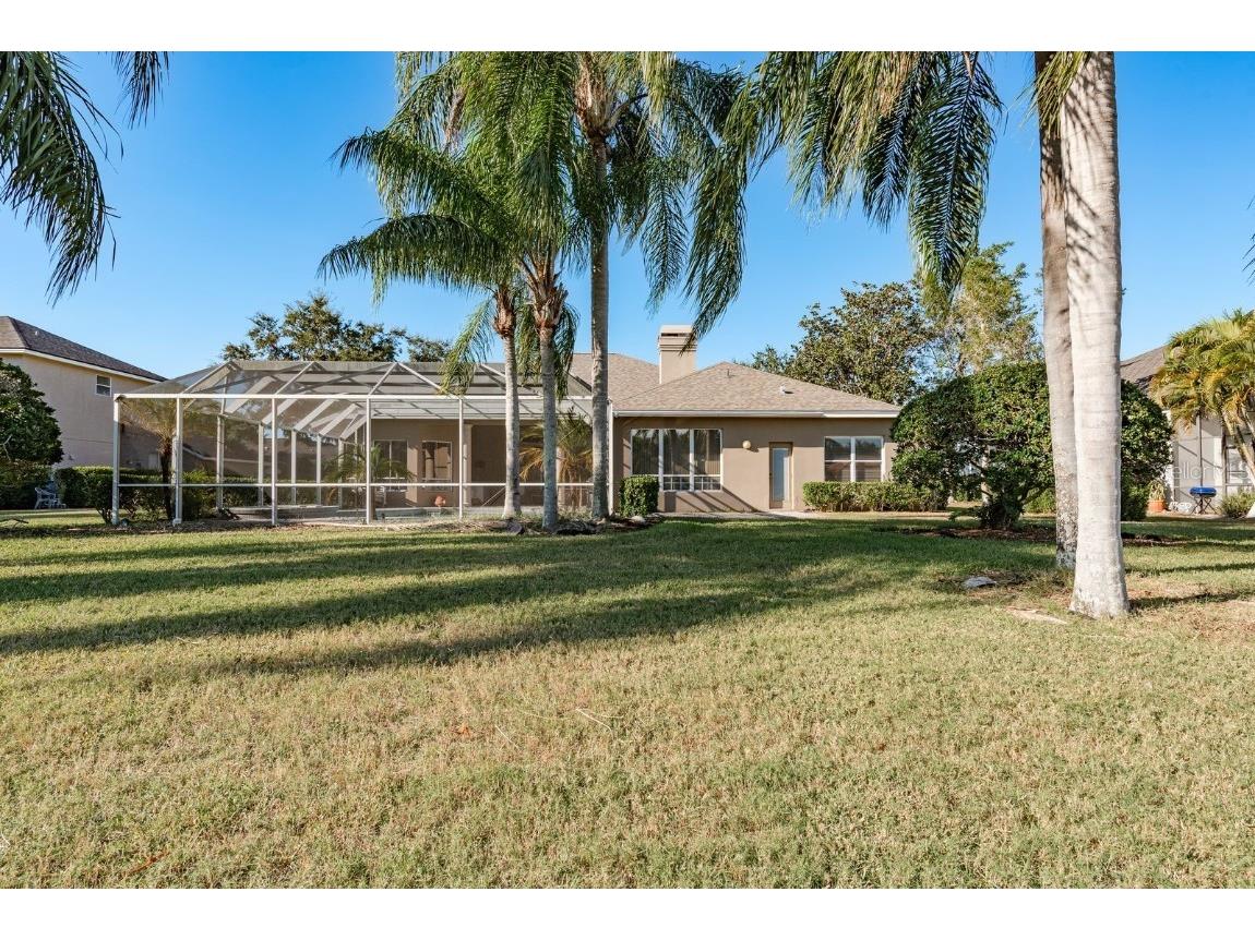 3866 Moreno Drive Palm Harbor FL 34685 TB8445249 image46