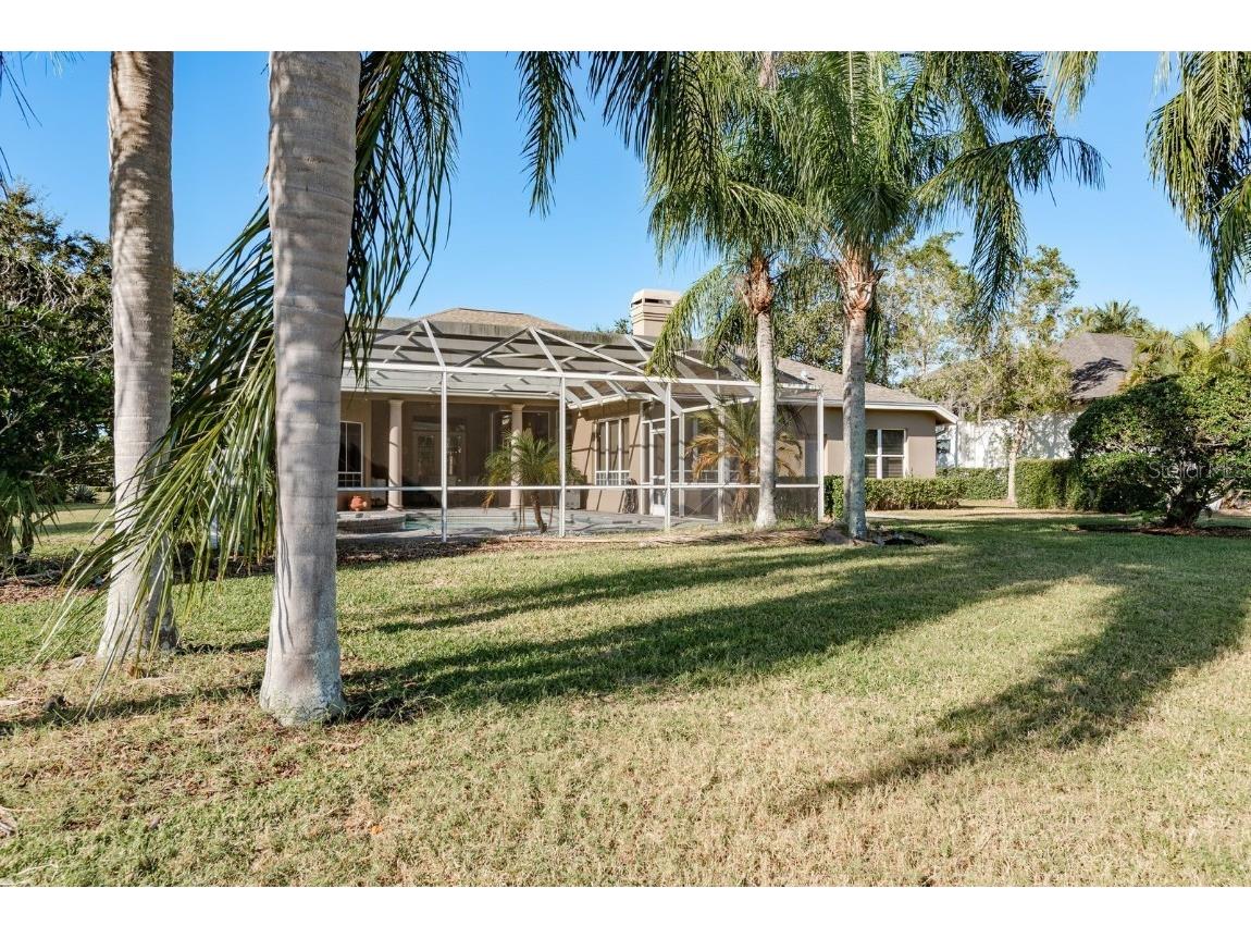 3866 Moreno Drive Palm Harbor FL 34685 TB8445249 image47