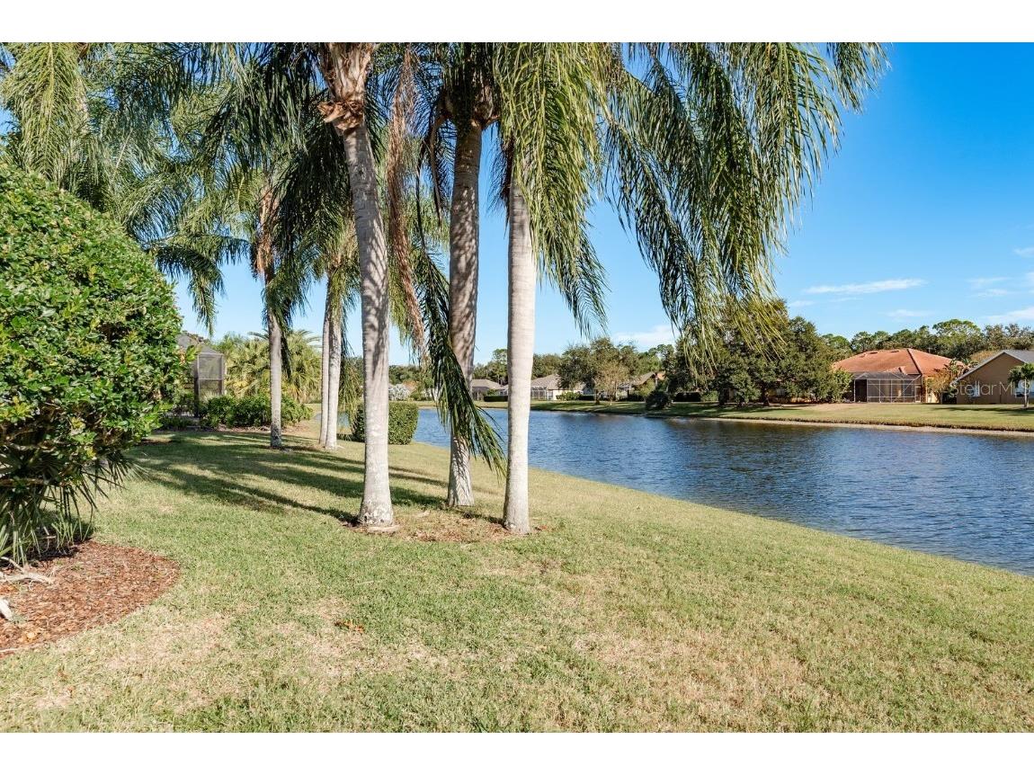 3866 Moreno Drive Palm Harbor FL 34685 TB8445249 image48