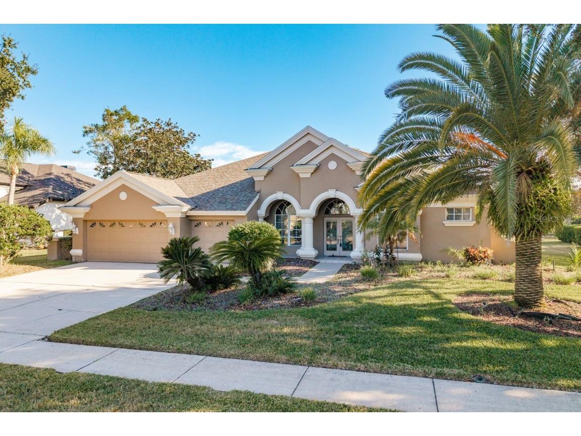 3866 Moreno Drive Palm Harbor FL 34685 TB8445249 image49