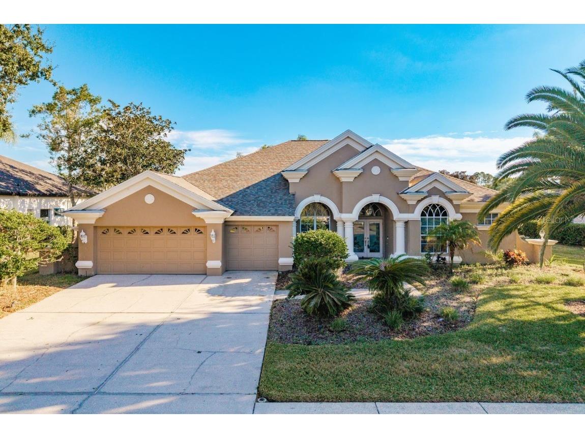 3866 Moreno Drive Palm Harbor FL 34685 TB8445249 image50