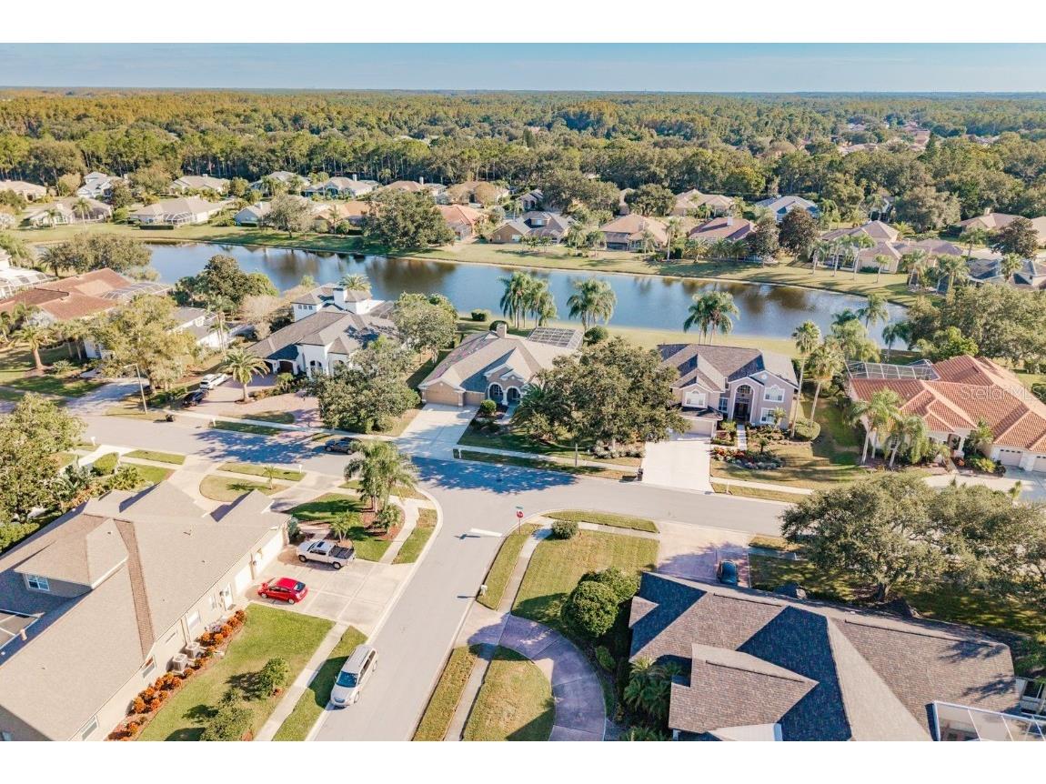 3866 Moreno Drive Palm Harbor FL 34685 TB8445249 image52