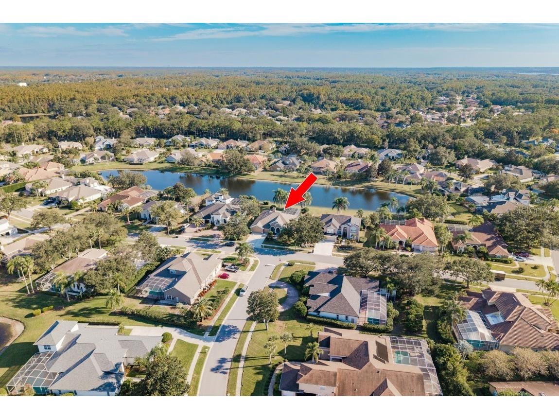 3866 Moreno Drive Palm Harbor FL 34685 TB8445249 image53