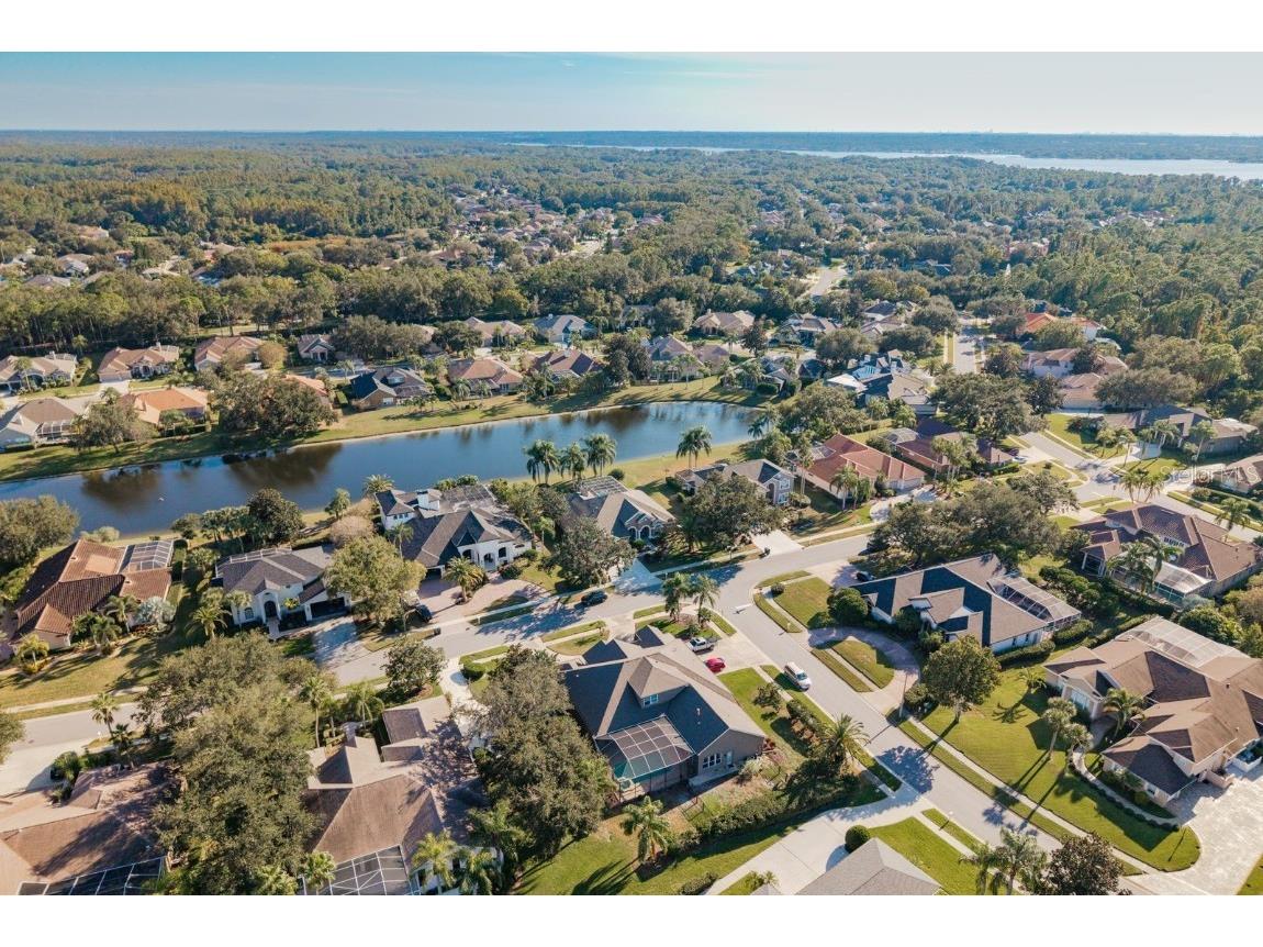 3866 Moreno Drive Palm Harbor FL 34685 TB8445249 image54