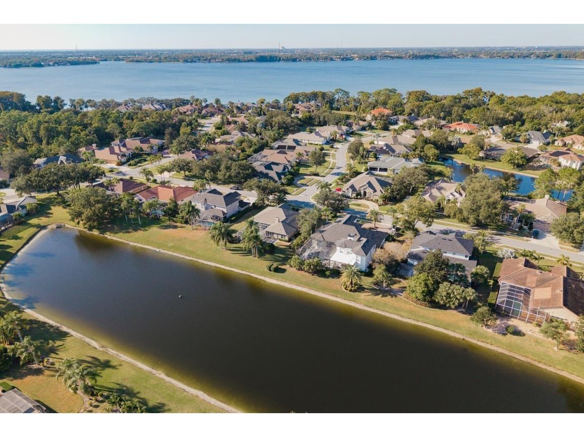 3866 Moreno Drive Palm Harbor FL 34685 TB8445249 image57