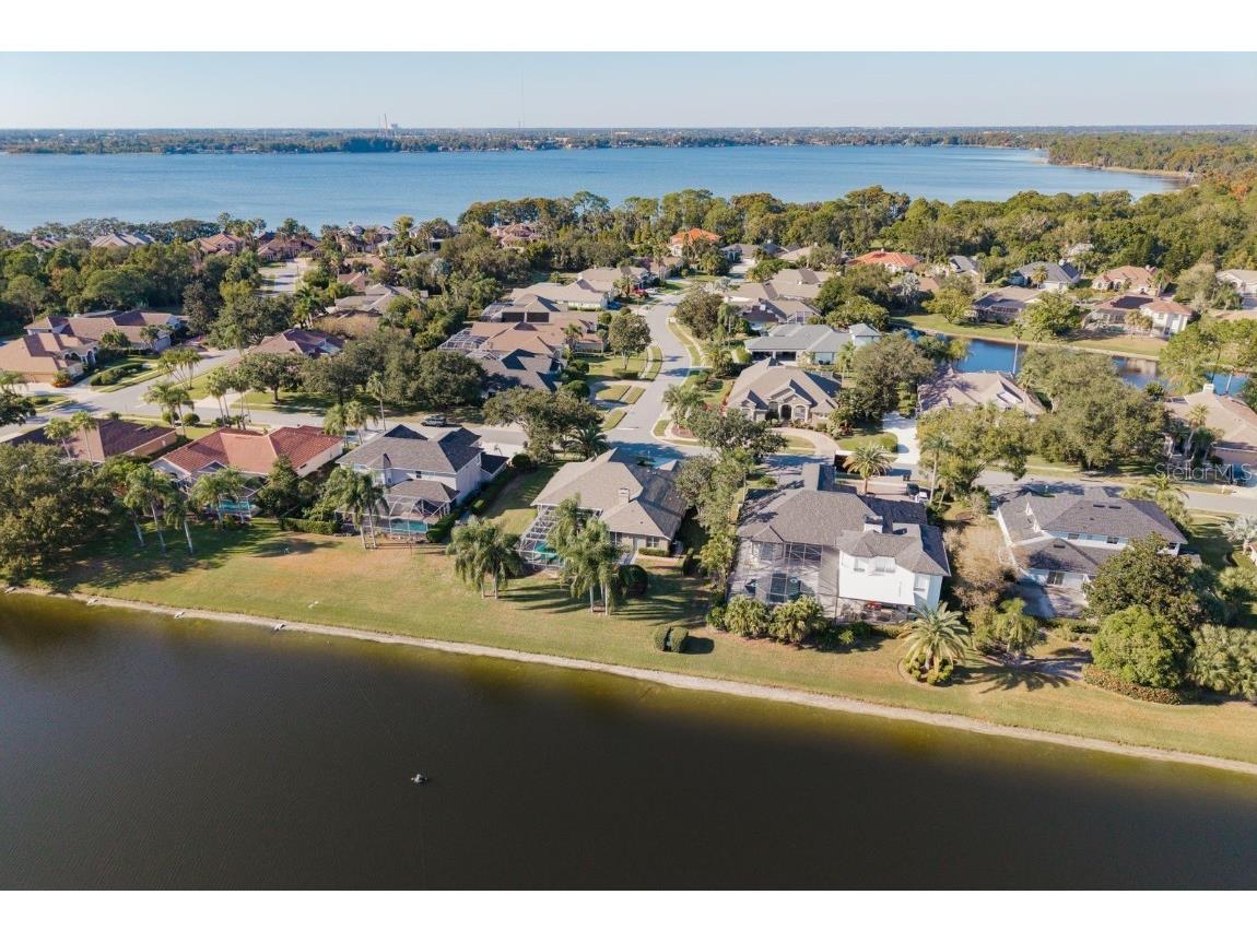 3866 Moreno Drive Palm Harbor FL 34685 TB8445249 image58