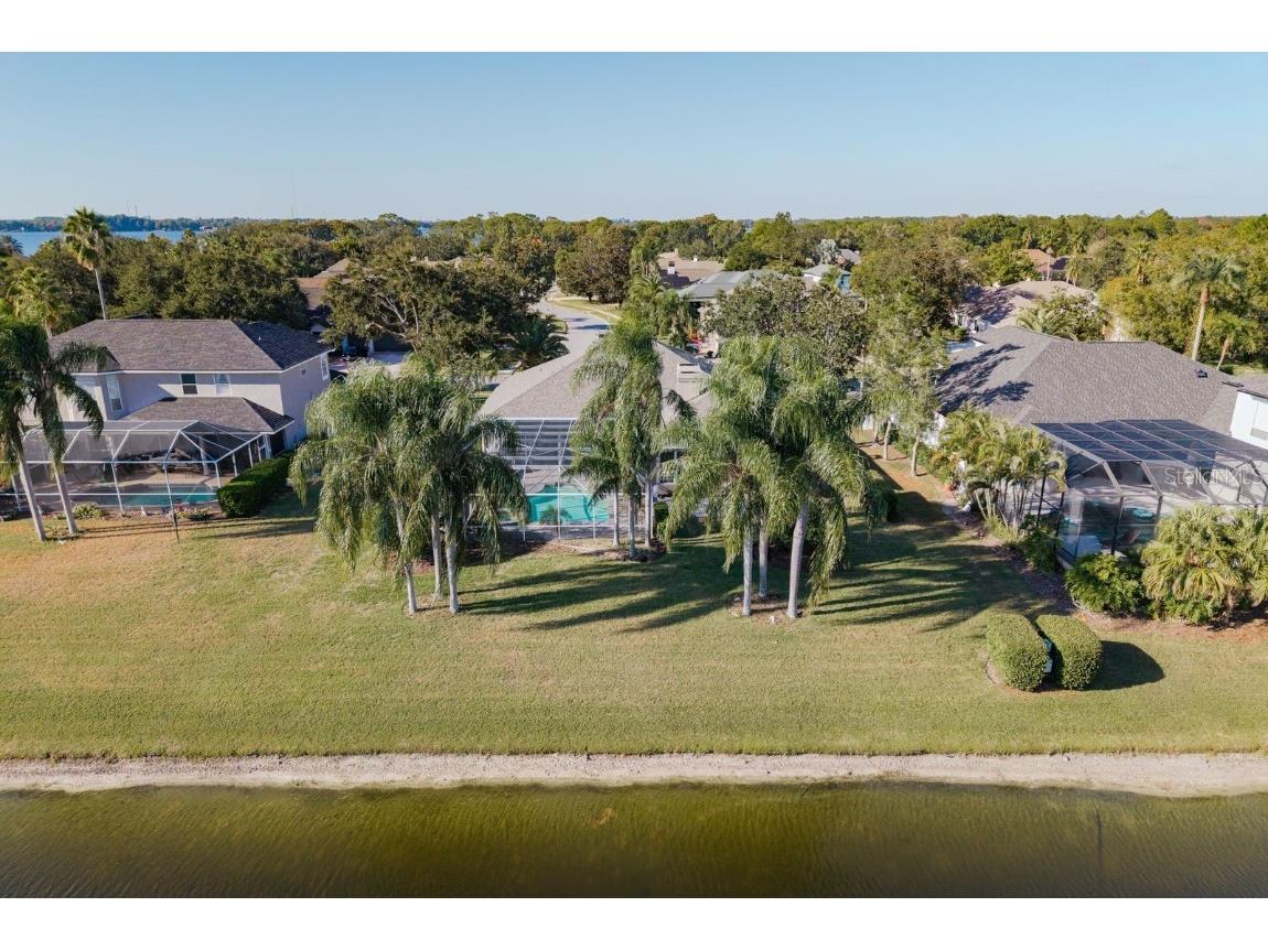 3866 Moreno Drive Palm Harbor FL 34685 TB8445249 image59