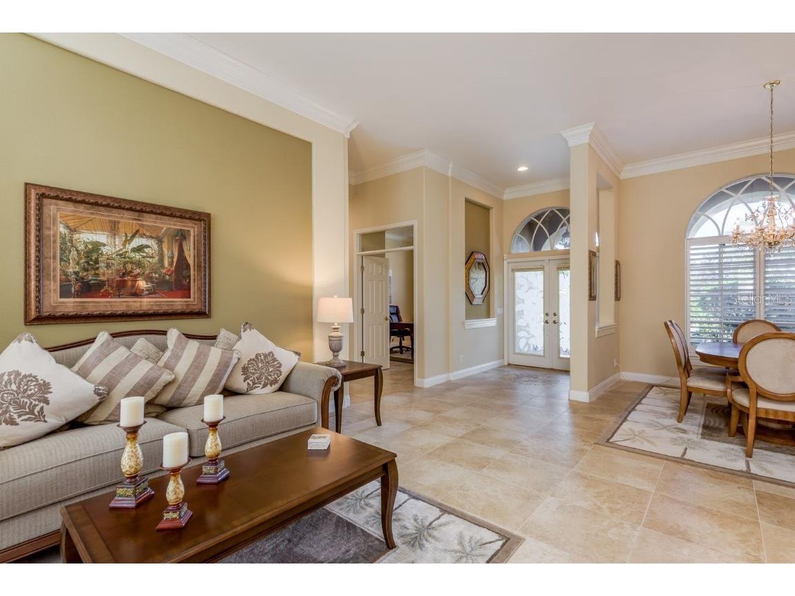 3866 Moreno Drive Palm Harbor FL 34685 TB8445249 image6