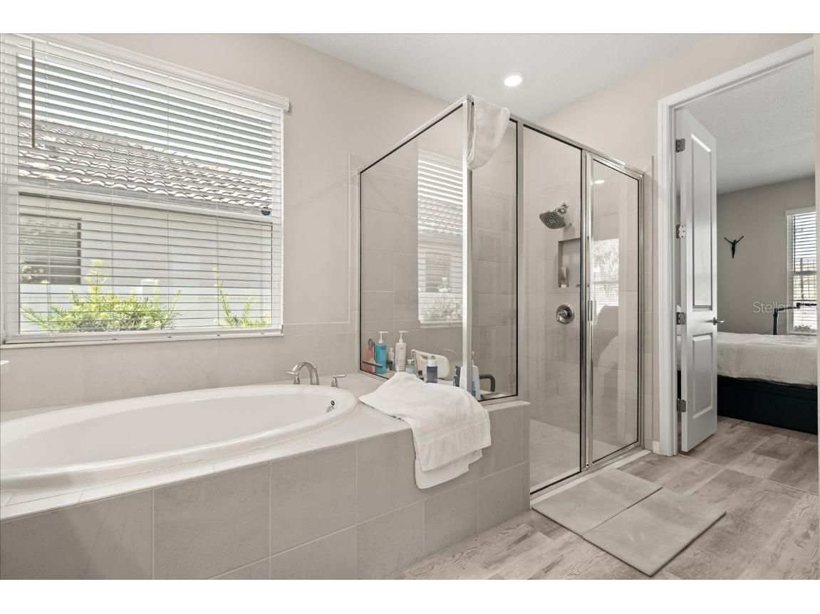 3866 Rose Mallow Drive Kissimmee FL 34746 O6331457 image15