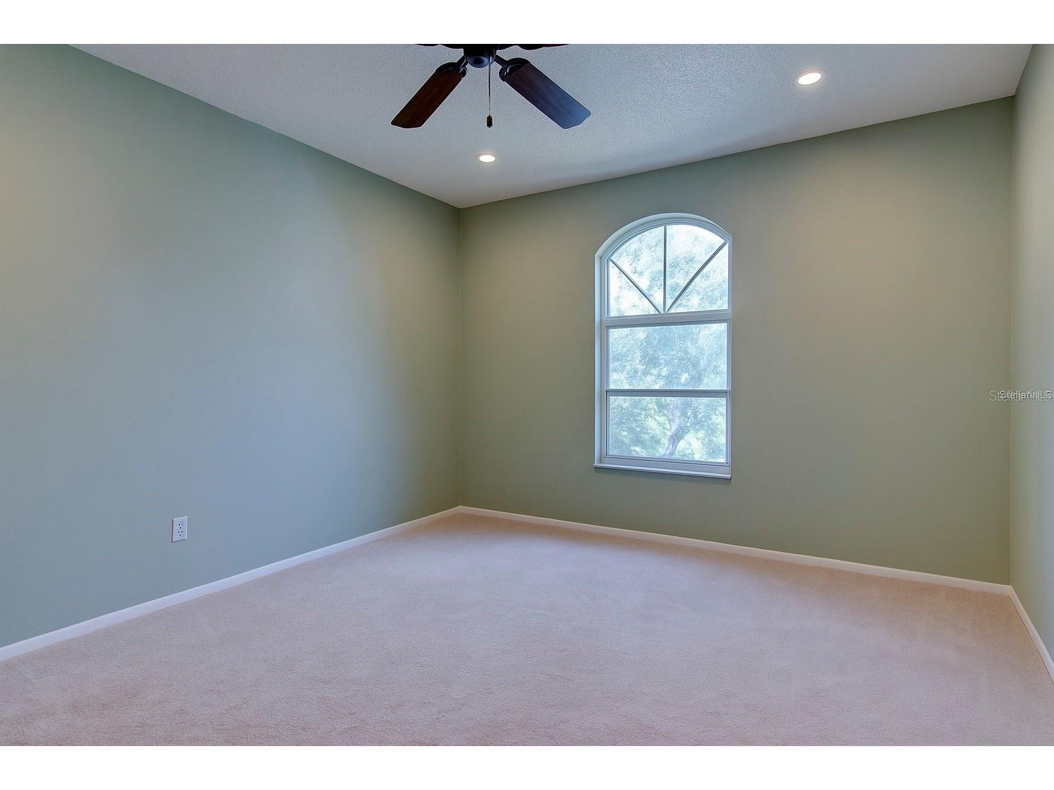 3867 Darston Street Palm Harbor FL 34685 TB8507220 image19