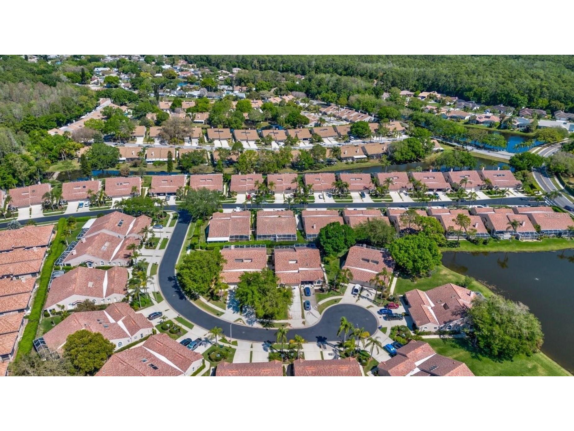 3867 Darston Street Palm Harbor FL 34685 TB8507220 image30