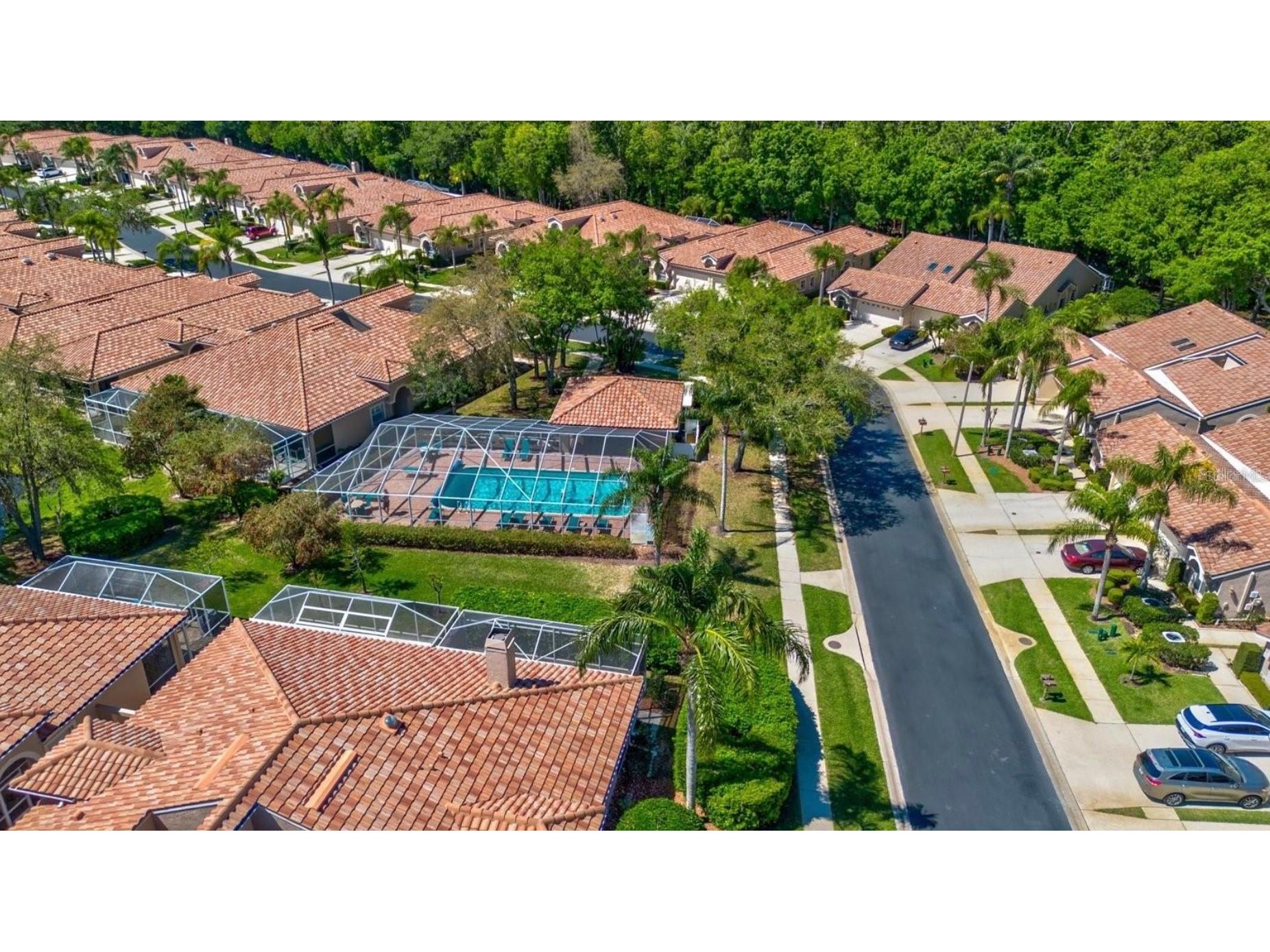 3867 Darston Street Palm Harbor FL 34685 TB8507220 image31