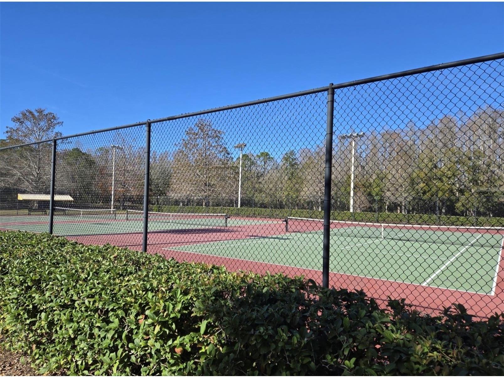 3867 Darston Street Palm Harbor FL 34685 TB8507220 image35