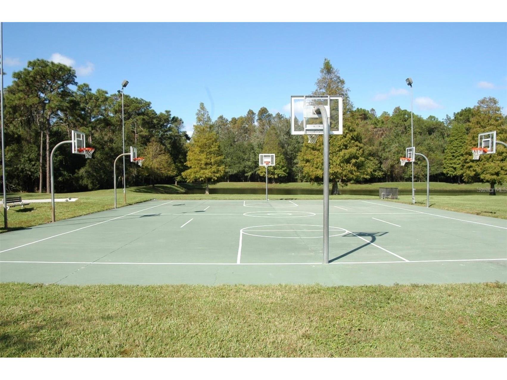 3867 Darston Street Palm Harbor FL 34685 TB8507220 image36