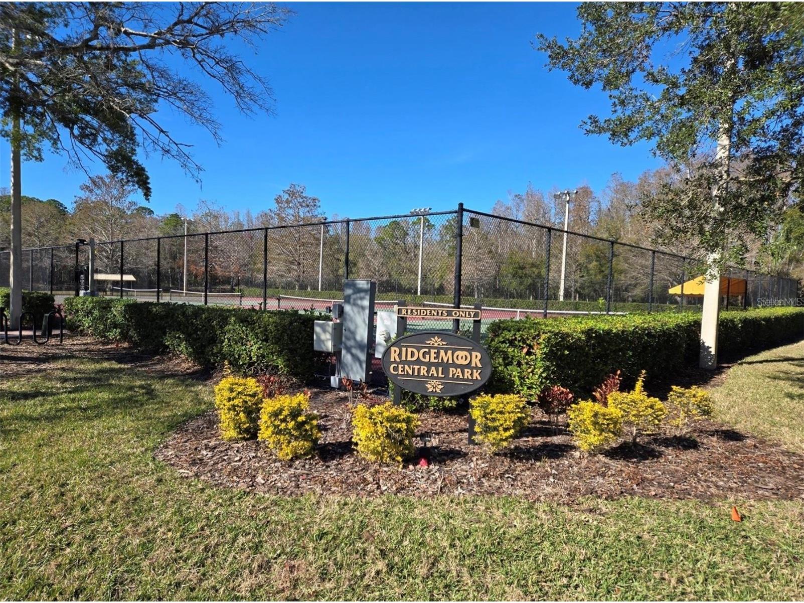 3867 Darston Street Palm Harbor FL 34685 TB8507220 image37