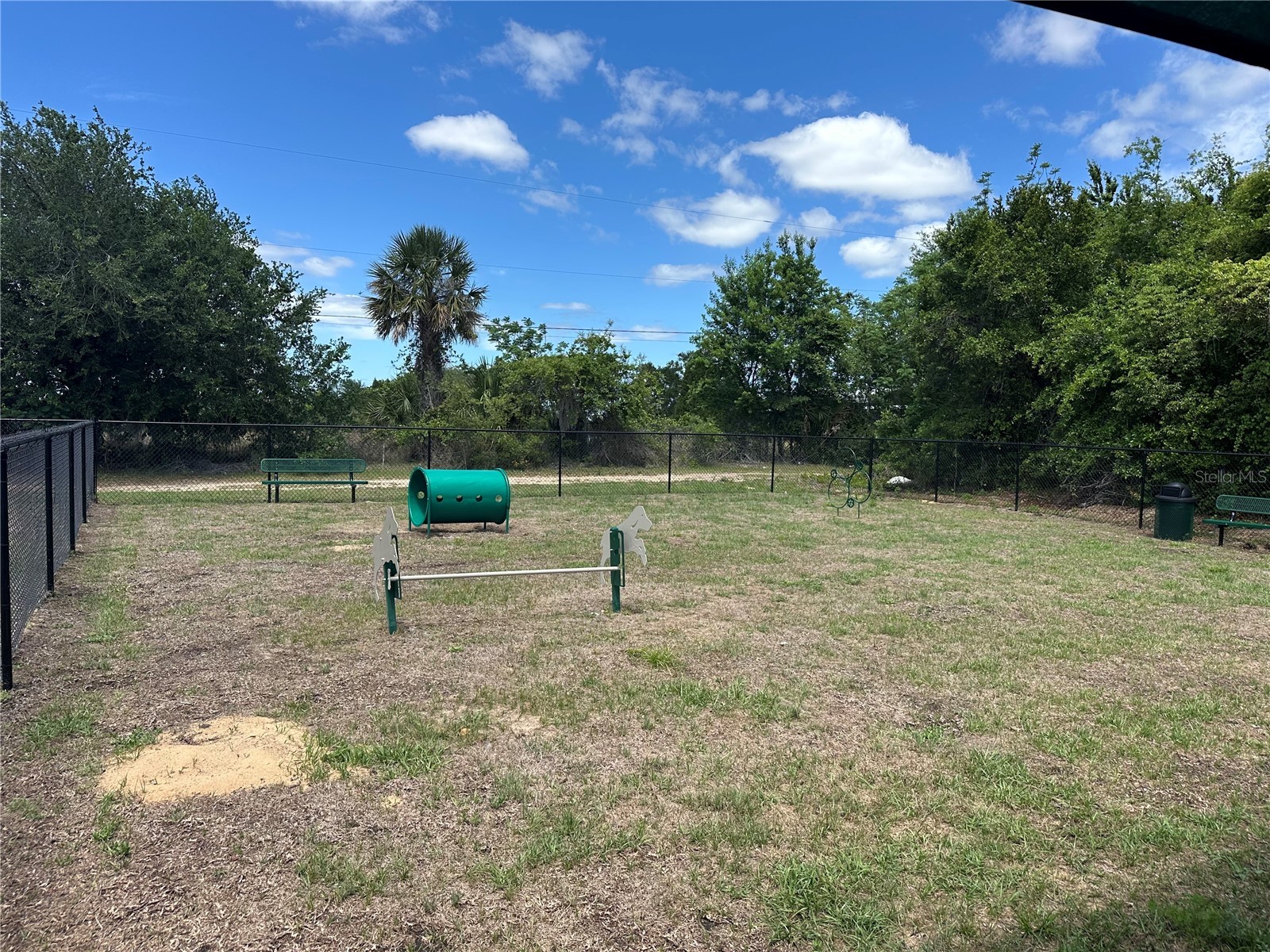 3867 King Hill Drive Haines City FL 33844 O6397975 image16