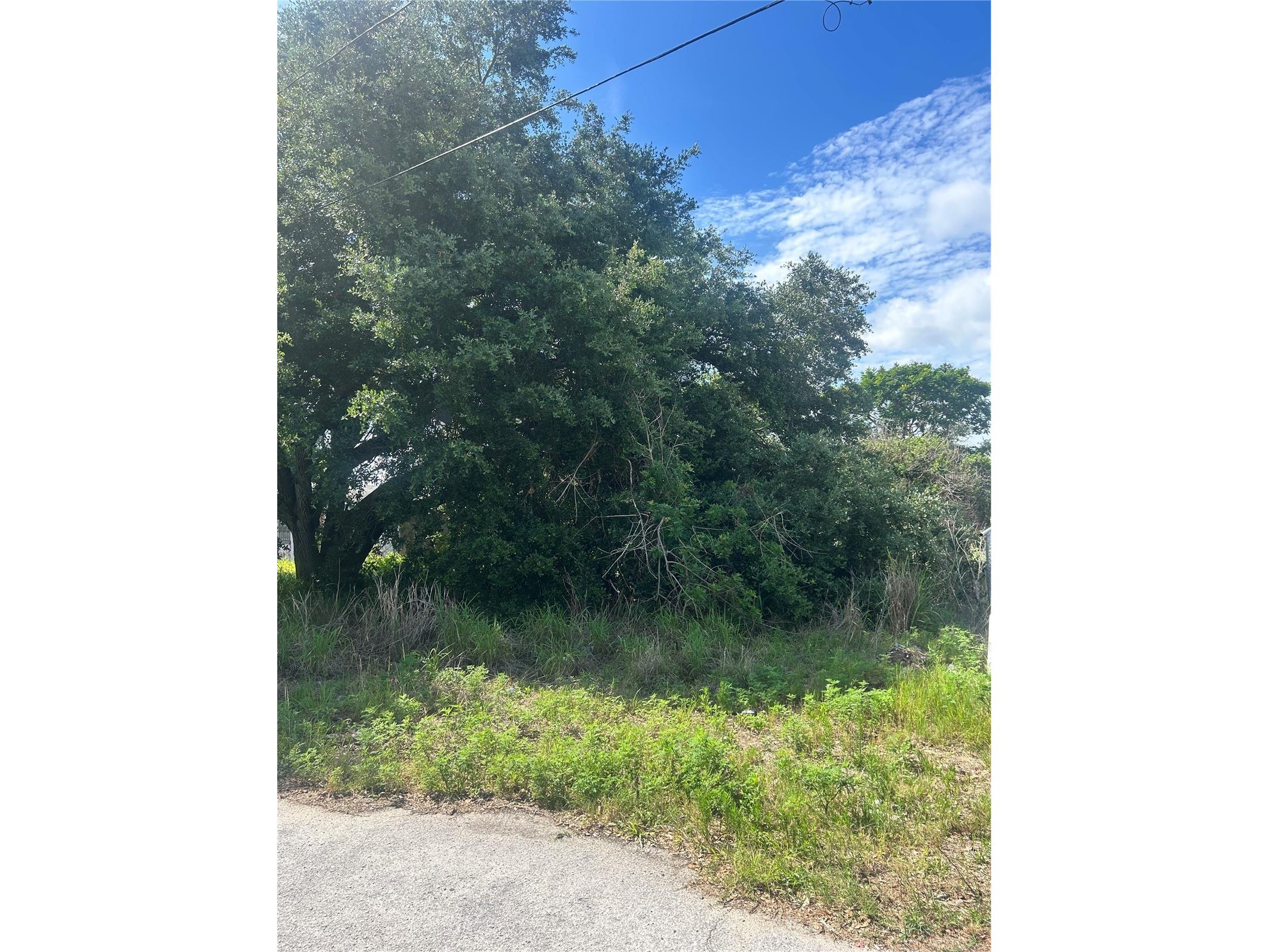 387 Avenue B Lake Wales FL 33859 O6422843 image2