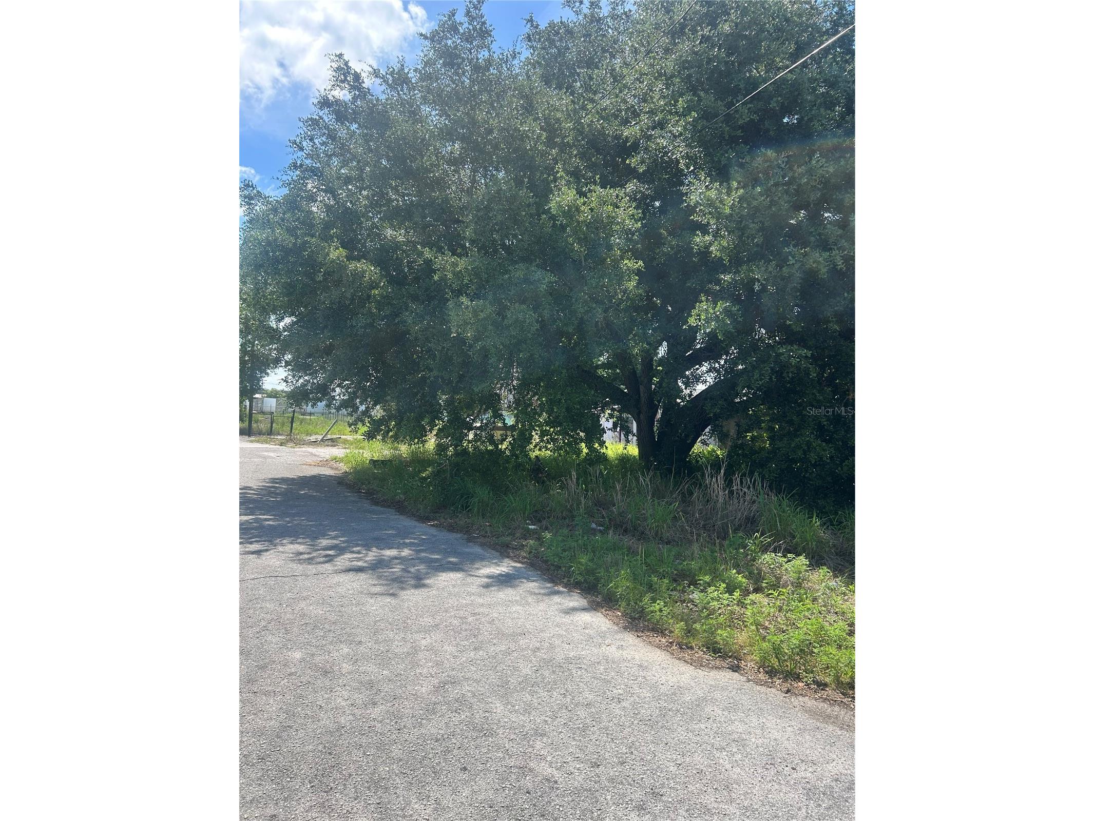 387 Avenue B Lake Wales FL 33859 O6422843 image3