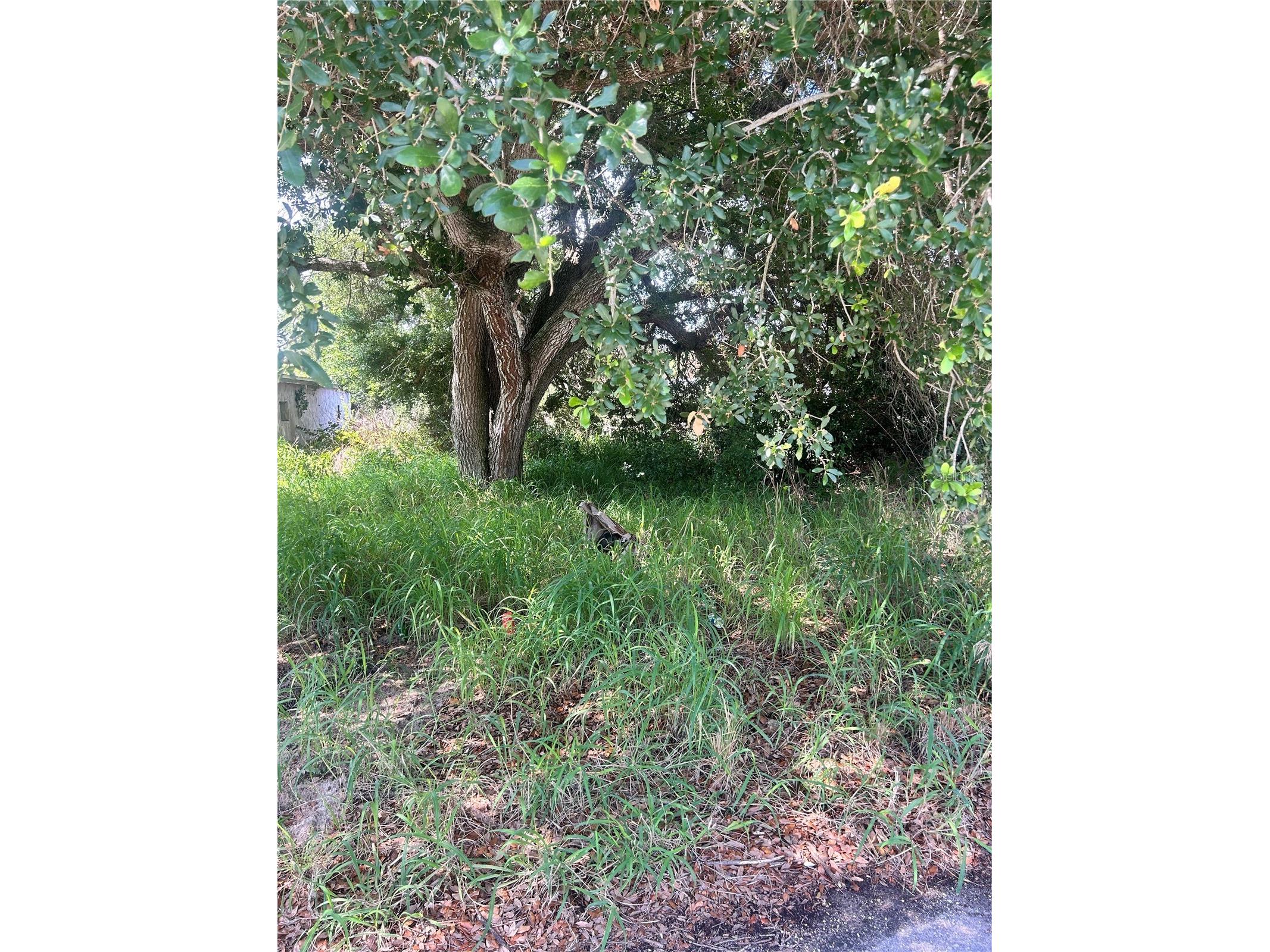 387 Avenue B Lake Wales FL 33859 O6422843 image4