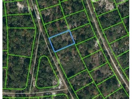 387 Blue Horizon Drive Lake Placid FL 33852 OM621050 image1