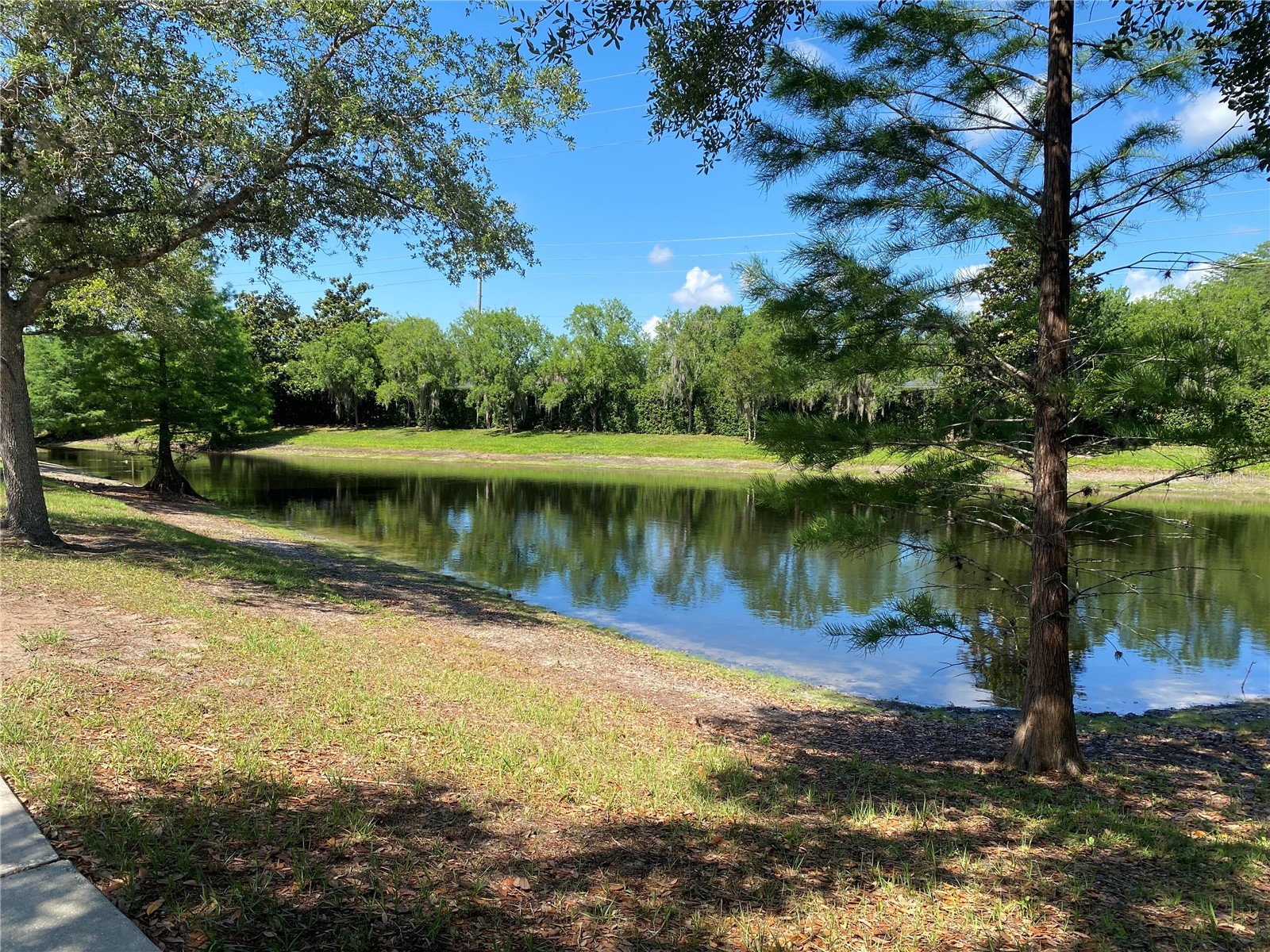 387 Evening Sky Drive Oviedo FL 32765 O6407941 image4