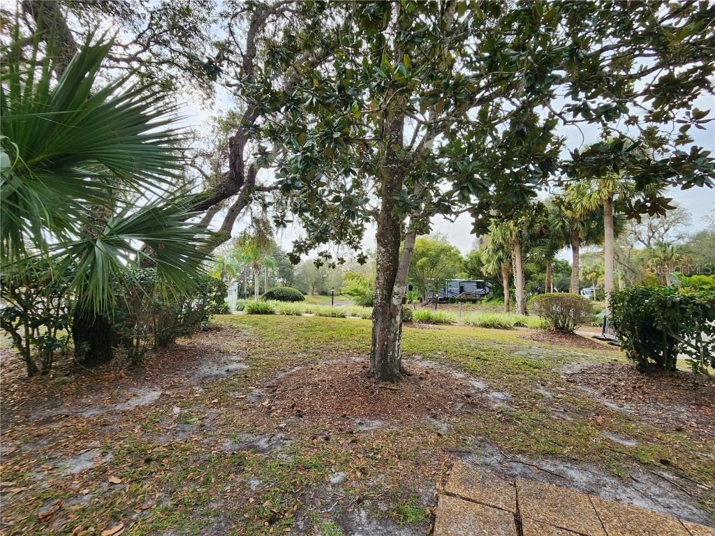 387 Longhorn Drive Lake Wales FL 33898 P4933353 image5