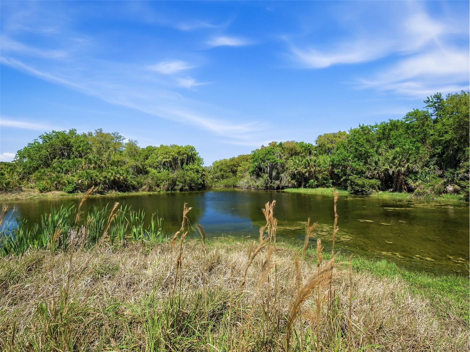 387 Marsh Landing Loop Oak Hill FL 32759 NS1087799 image30