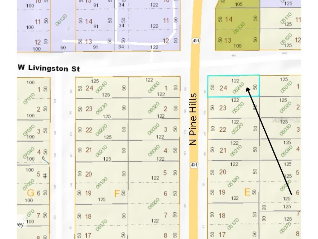 387 N Pine Hills Road Orlando FL 32811 O6345666 image2