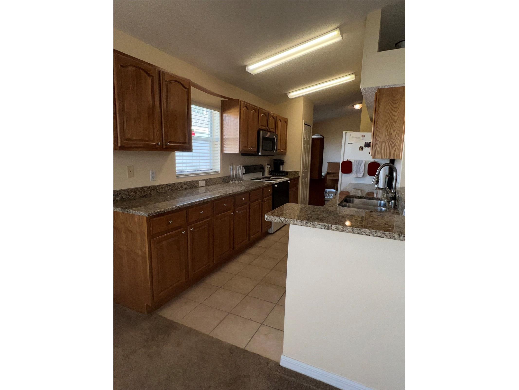 387 Tavernier Circle Oldsmar FL 34677 TB8480272 image14