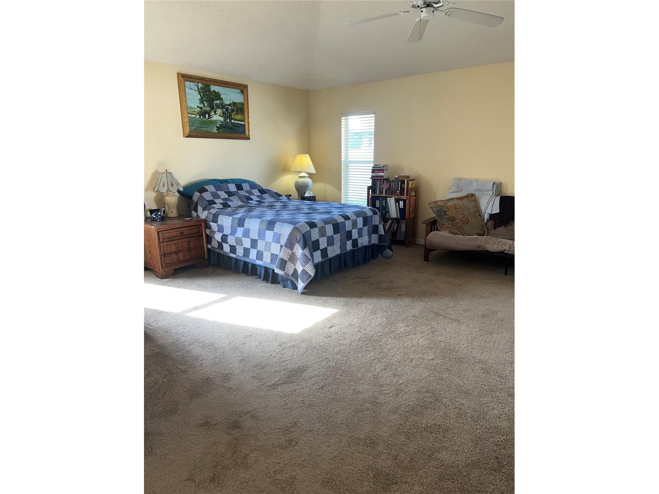 387 Tavernier Circle Oldsmar FL 34677 TB8480272 image19