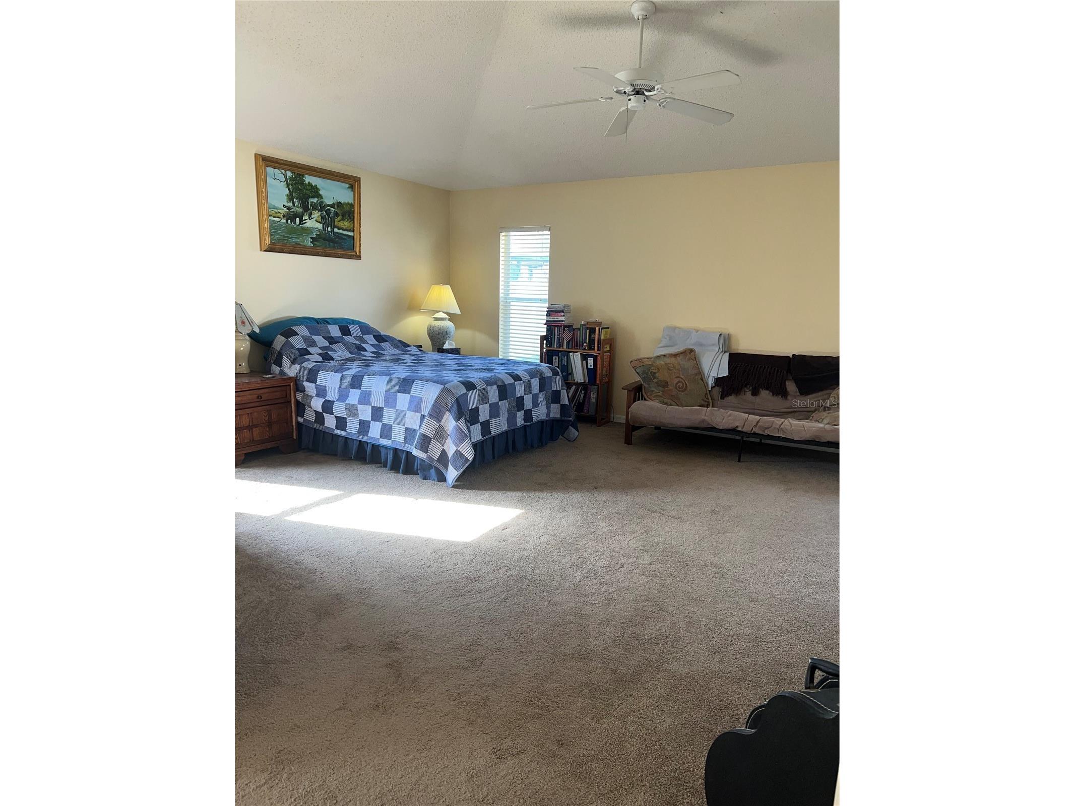 387 Tavernier Circle Oldsmar FL 34677 TB8480272 image22