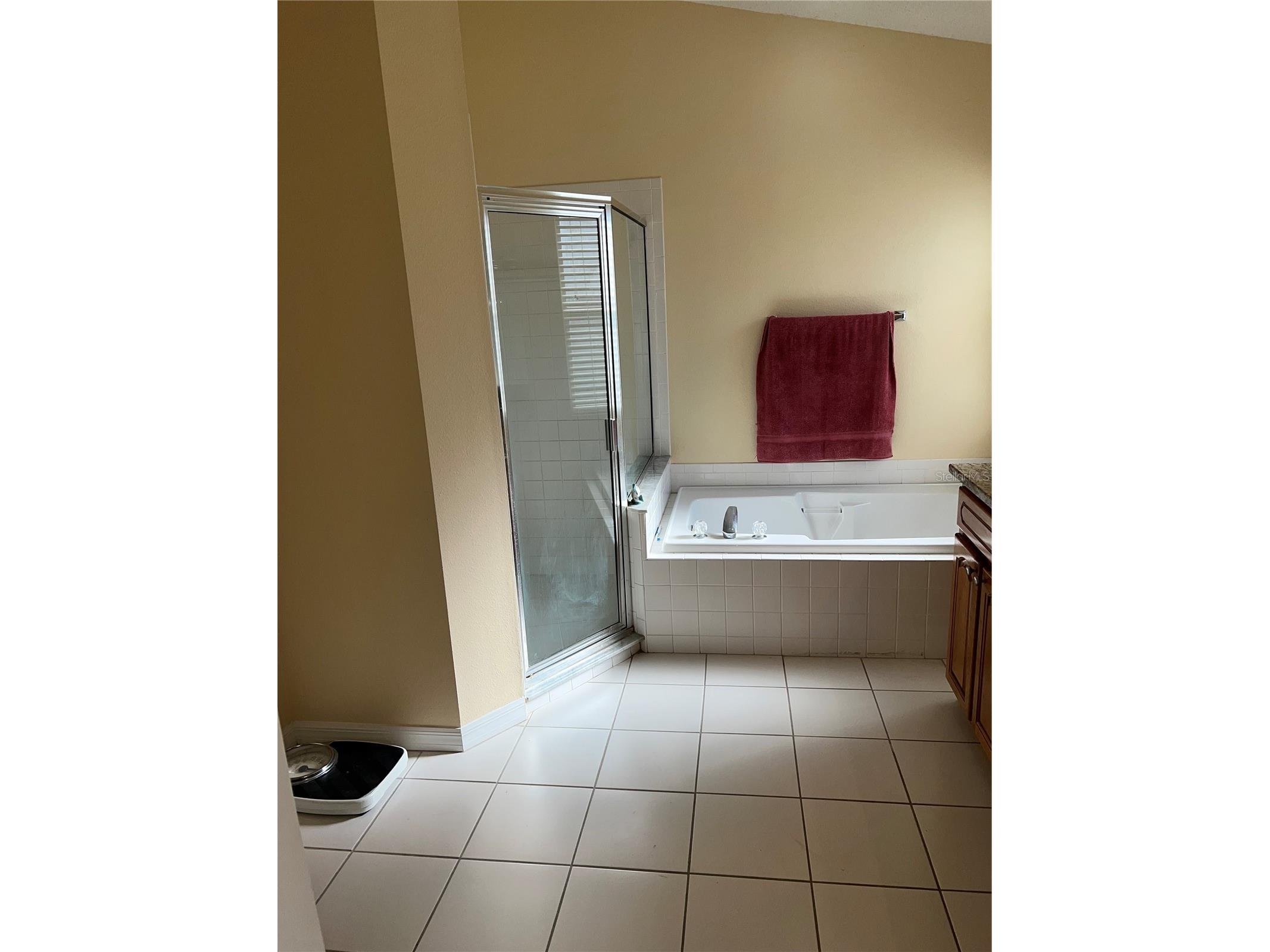 387 Tavernier Circle Oldsmar FL 34677 TB8480272 image24