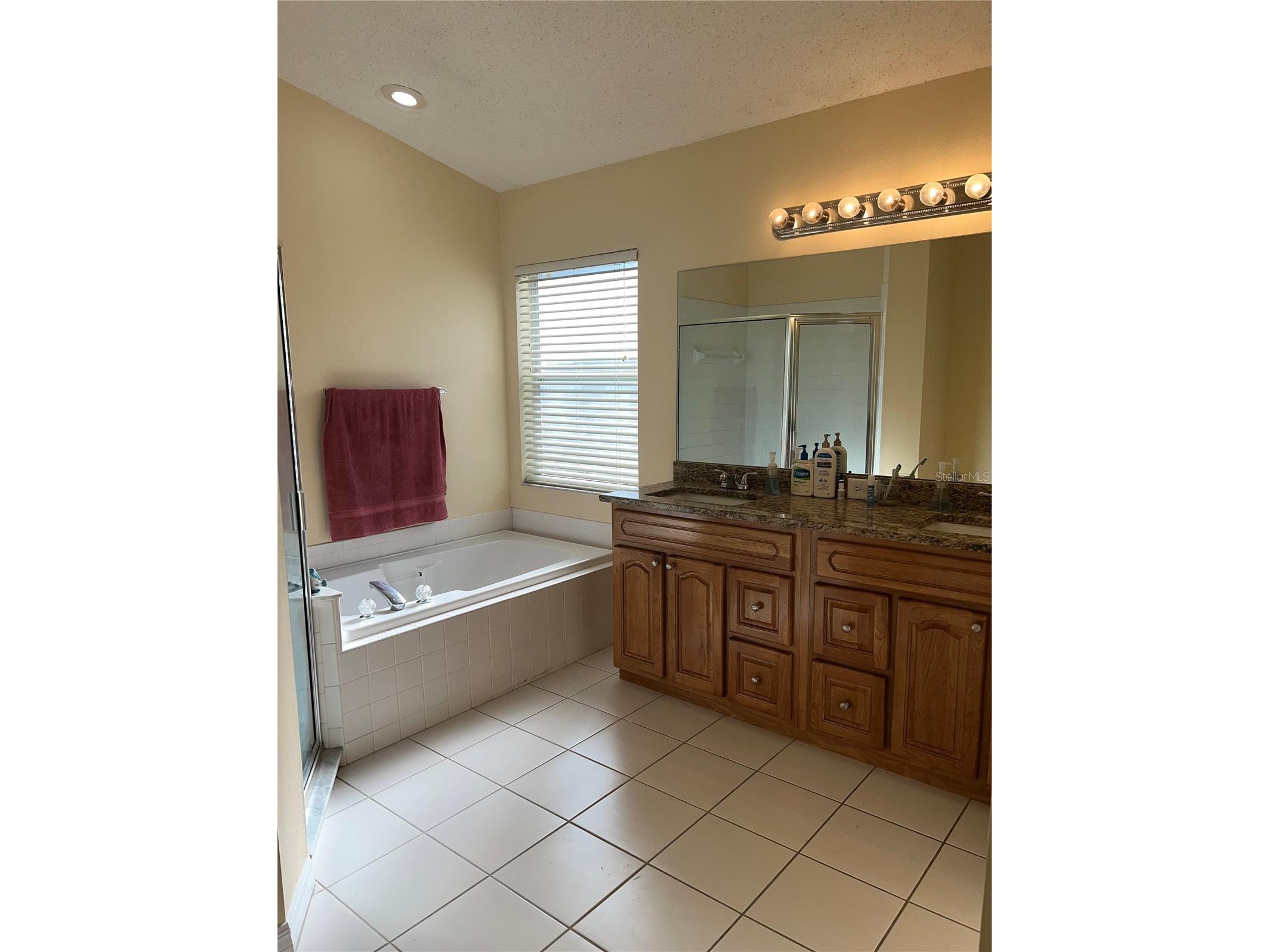 387 Tavernier Circle Oldsmar FL 34677 TB8480272 image25