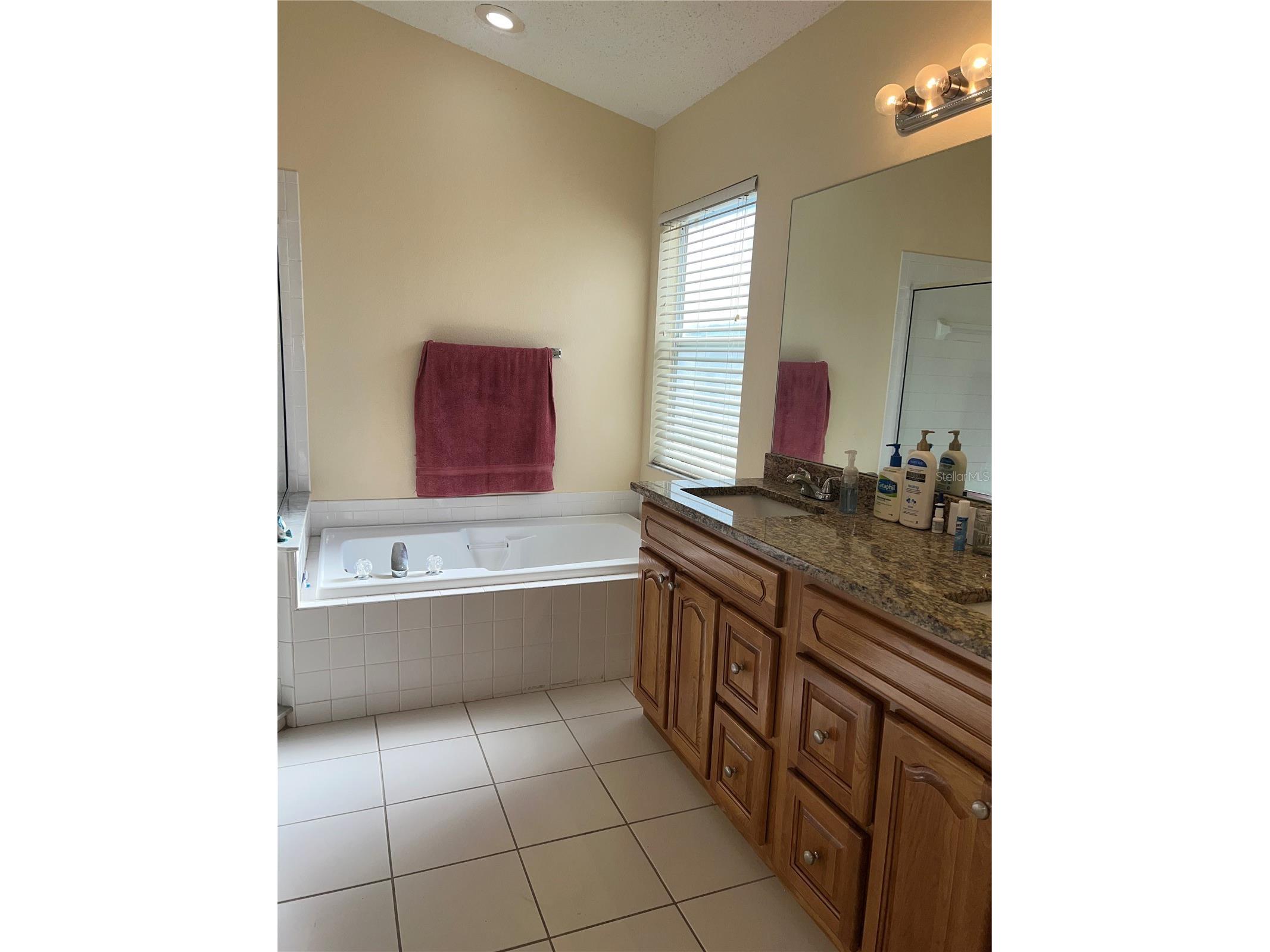 387 Tavernier Circle Oldsmar FL 34677 TB8480272 image26