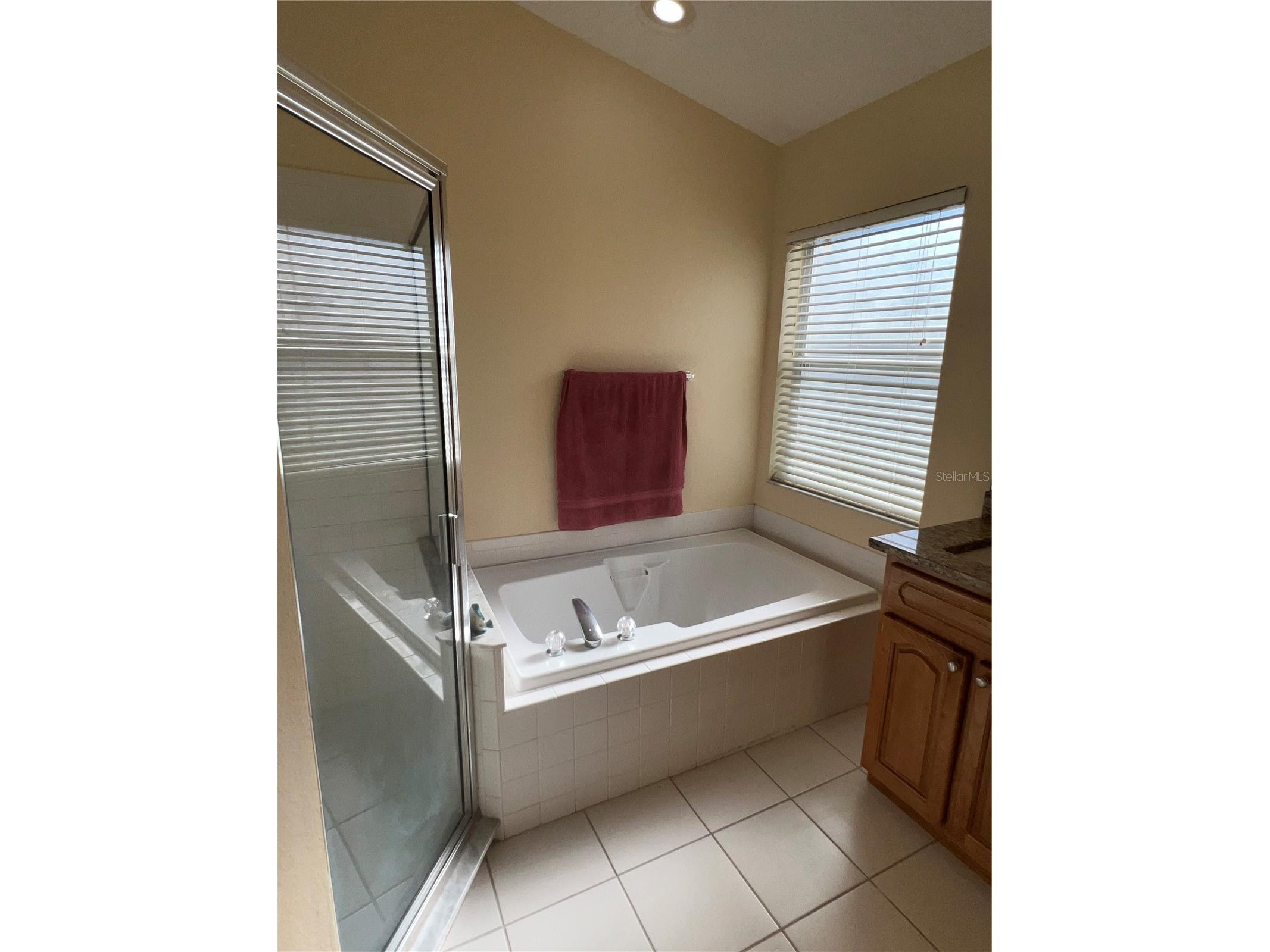 387 Tavernier Circle Oldsmar FL 34677 TB8480272 image27