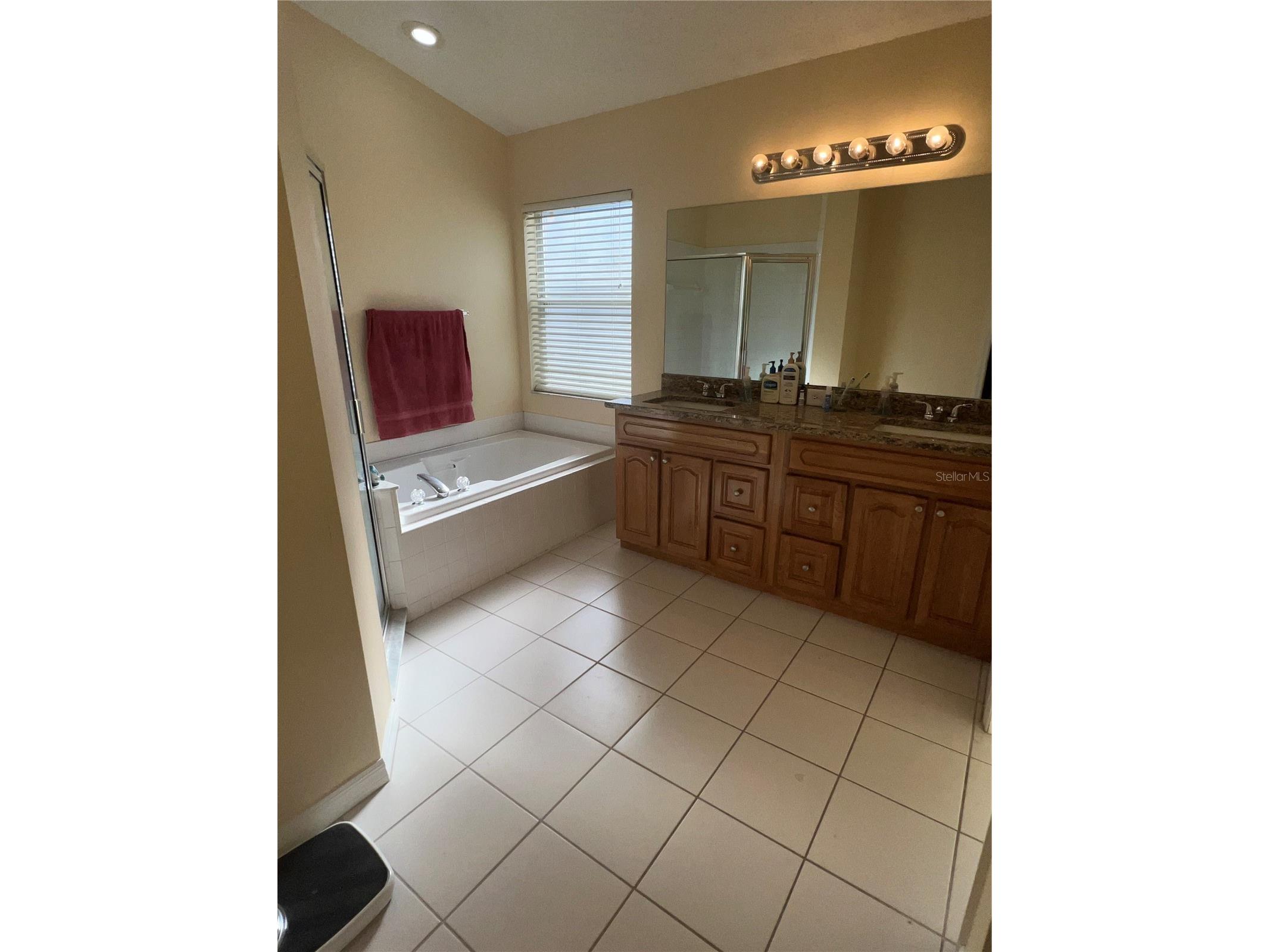 387 Tavernier Circle Oldsmar FL 34677 TB8480272 image28
