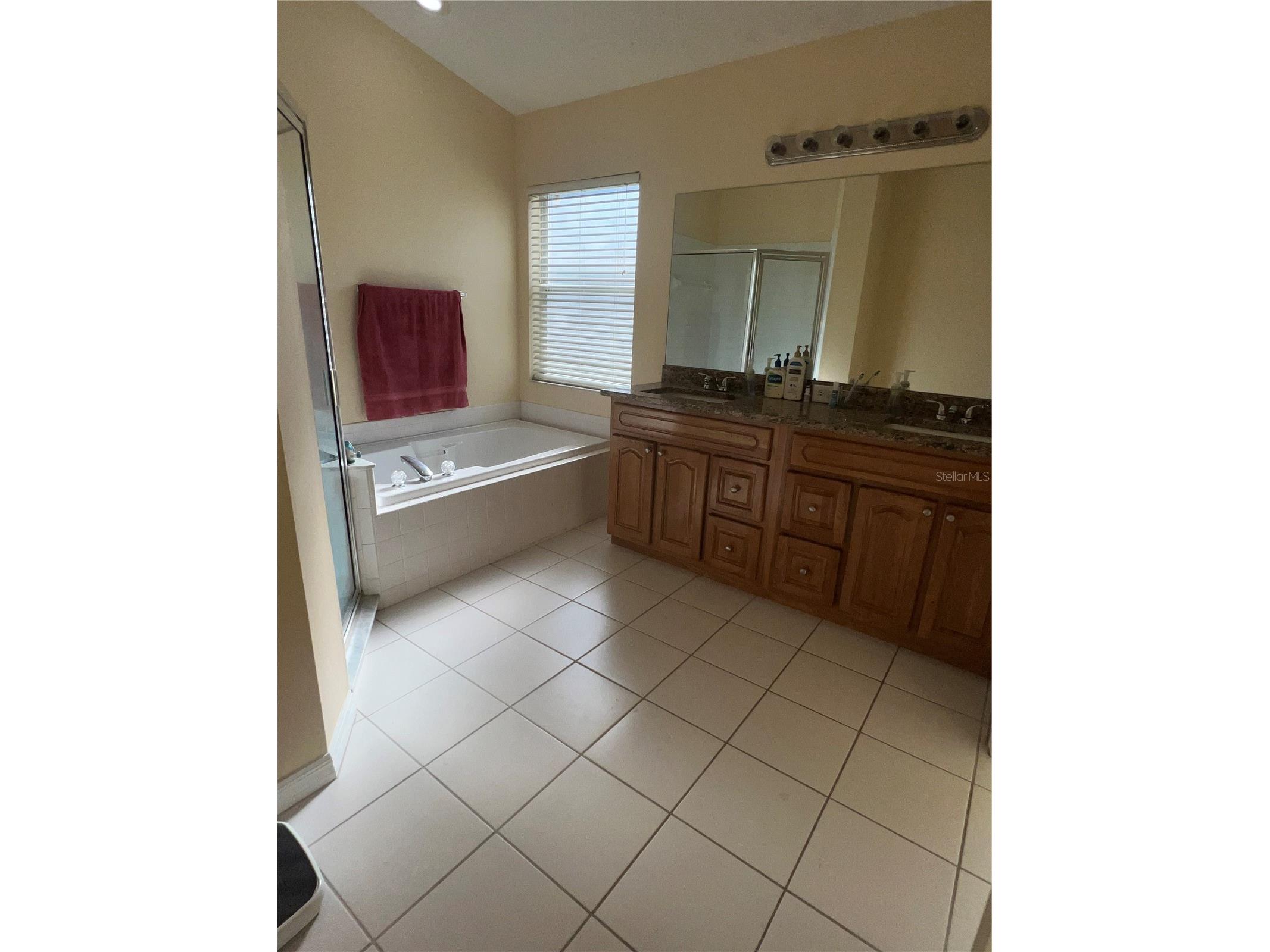 387 Tavernier Circle Oldsmar FL 34677 TB8480272 image29