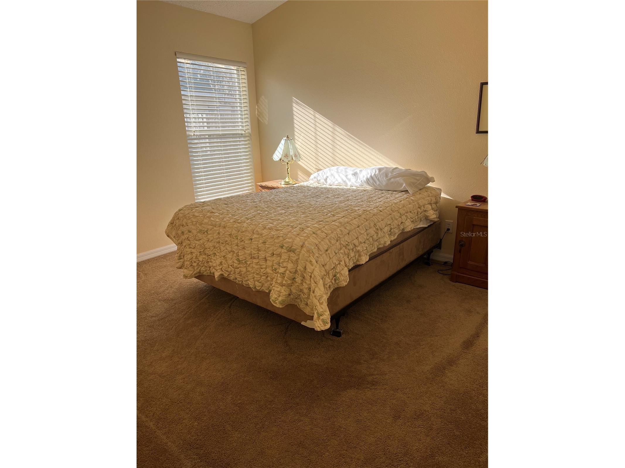 387 Tavernier Circle Oldsmar FL 34677 TB8480272 image31