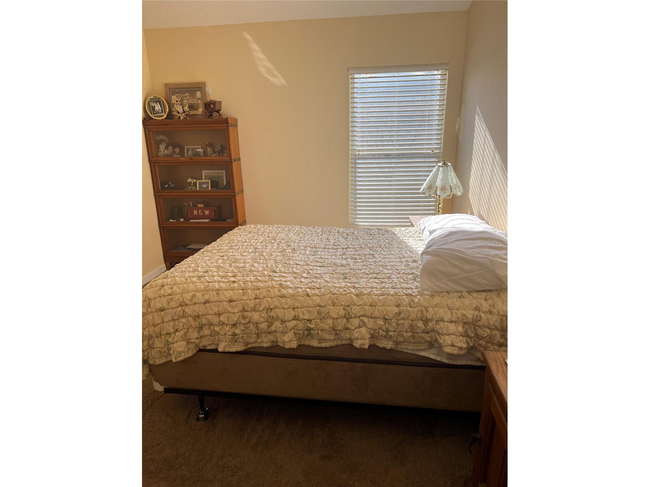 387 Tavernier Circle Oldsmar FL 34677 TB8480272 image32