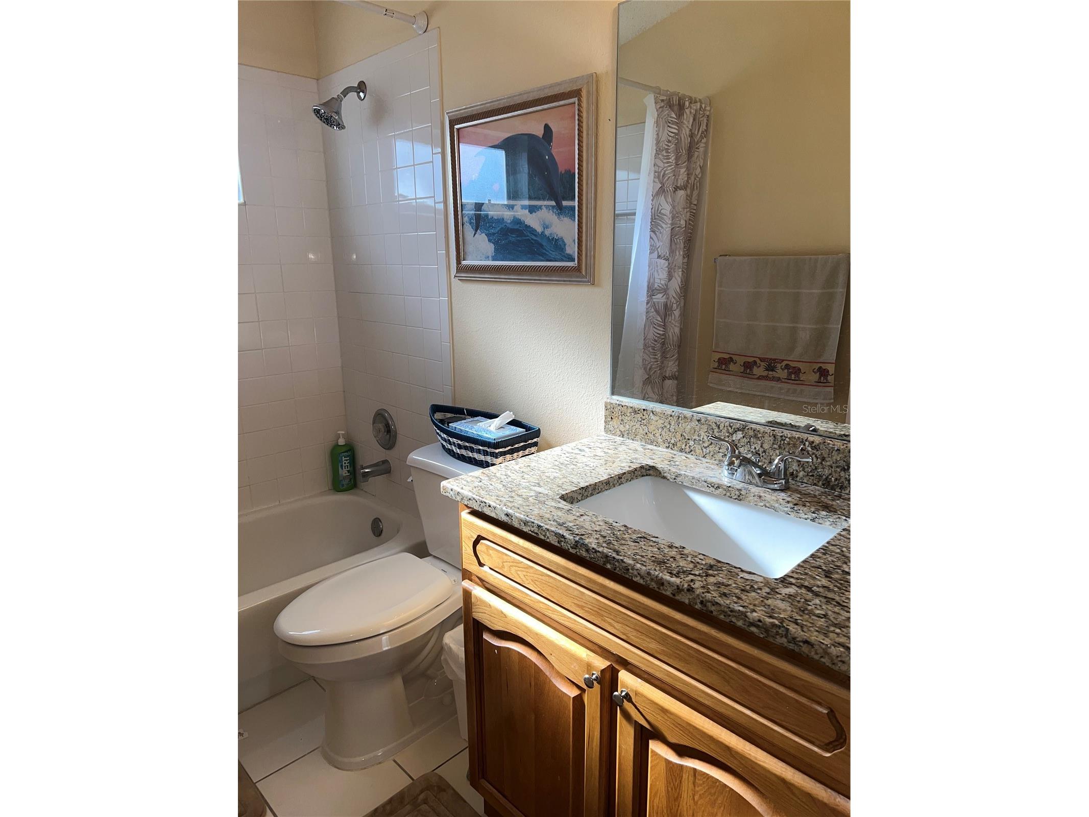 387 Tavernier Circle Oldsmar FL 34677 TB8480272 image33