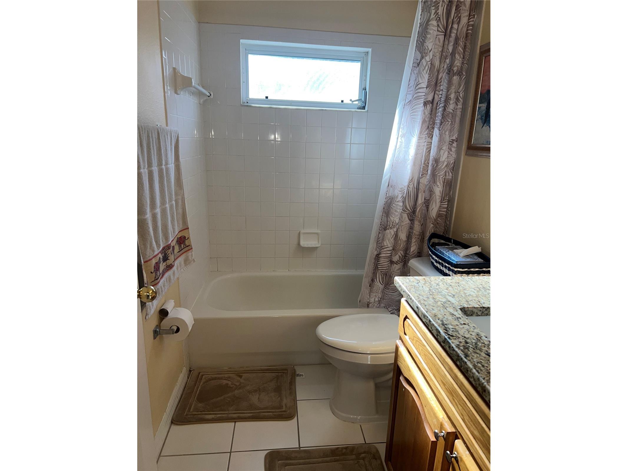 387 Tavernier Circle Oldsmar FL 34677 TB8480272 image34