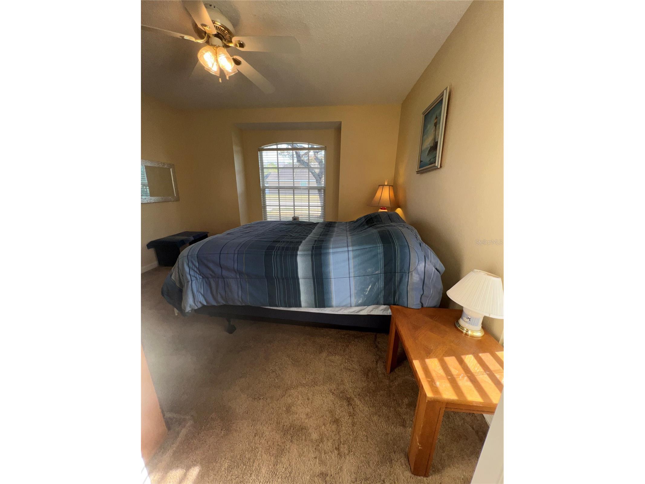 387 Tavernier Circle Oldsmar FL 34677 TB8480272 image37