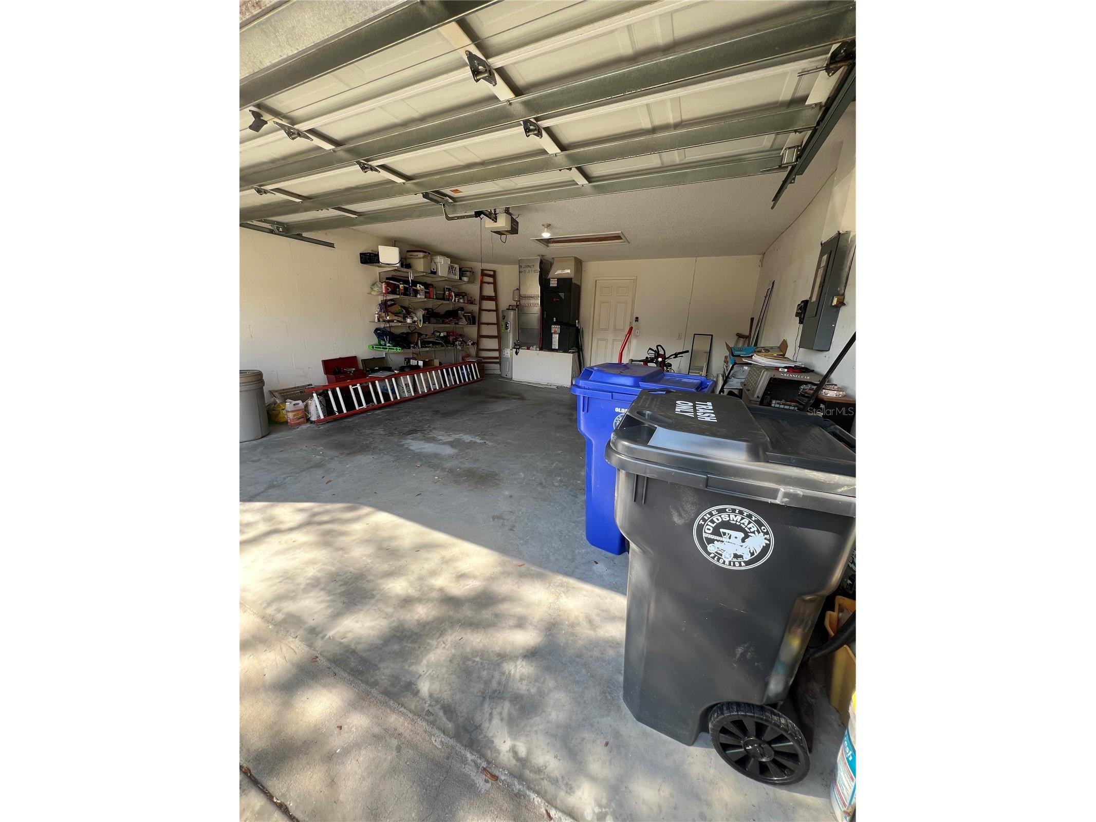 387 Tavernier Circle Oldsmar FL 34677 TB8480272 image41