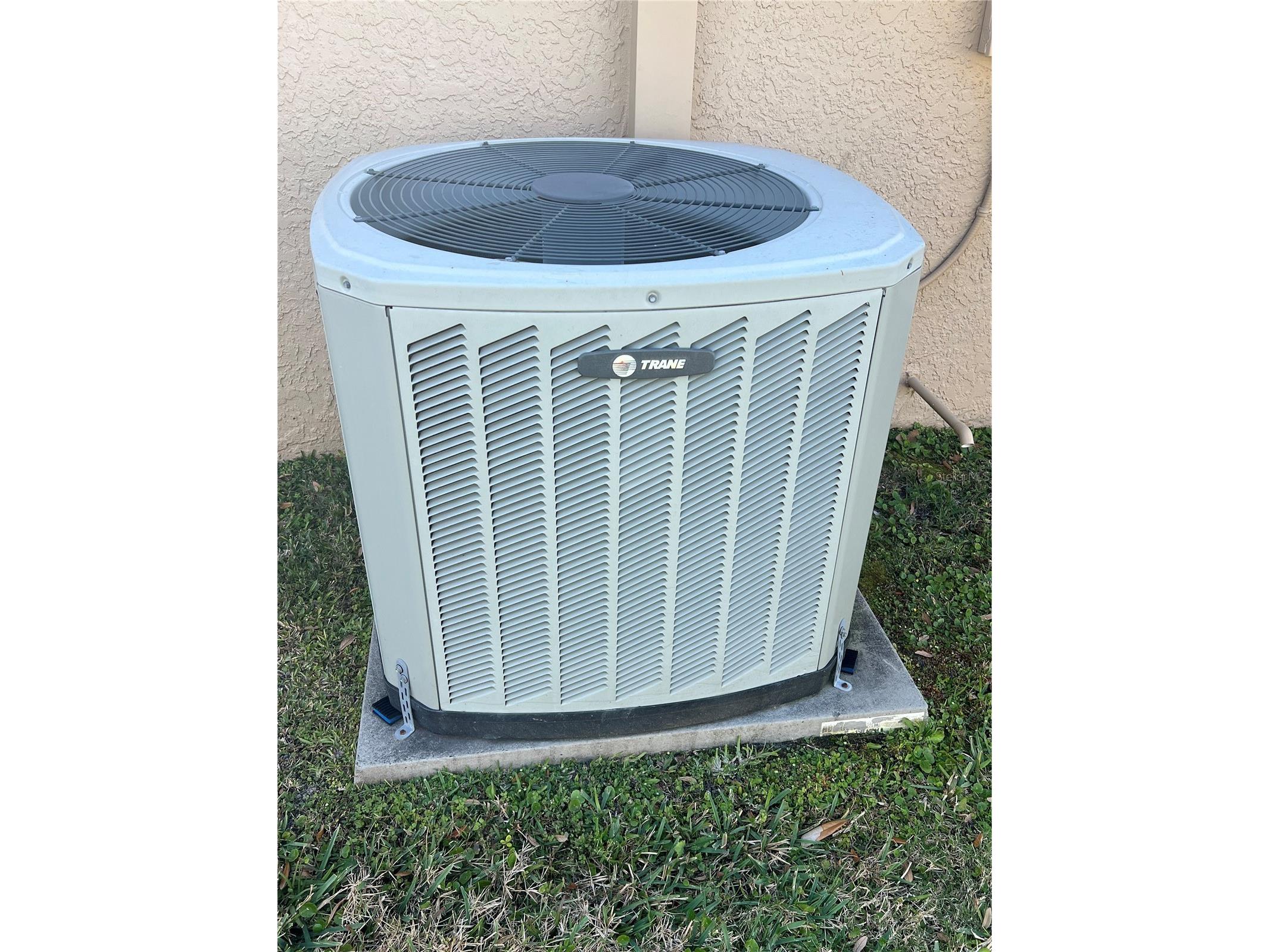 387 Tavernier Circle Oldsmar FL 34677 TB8480272 image45