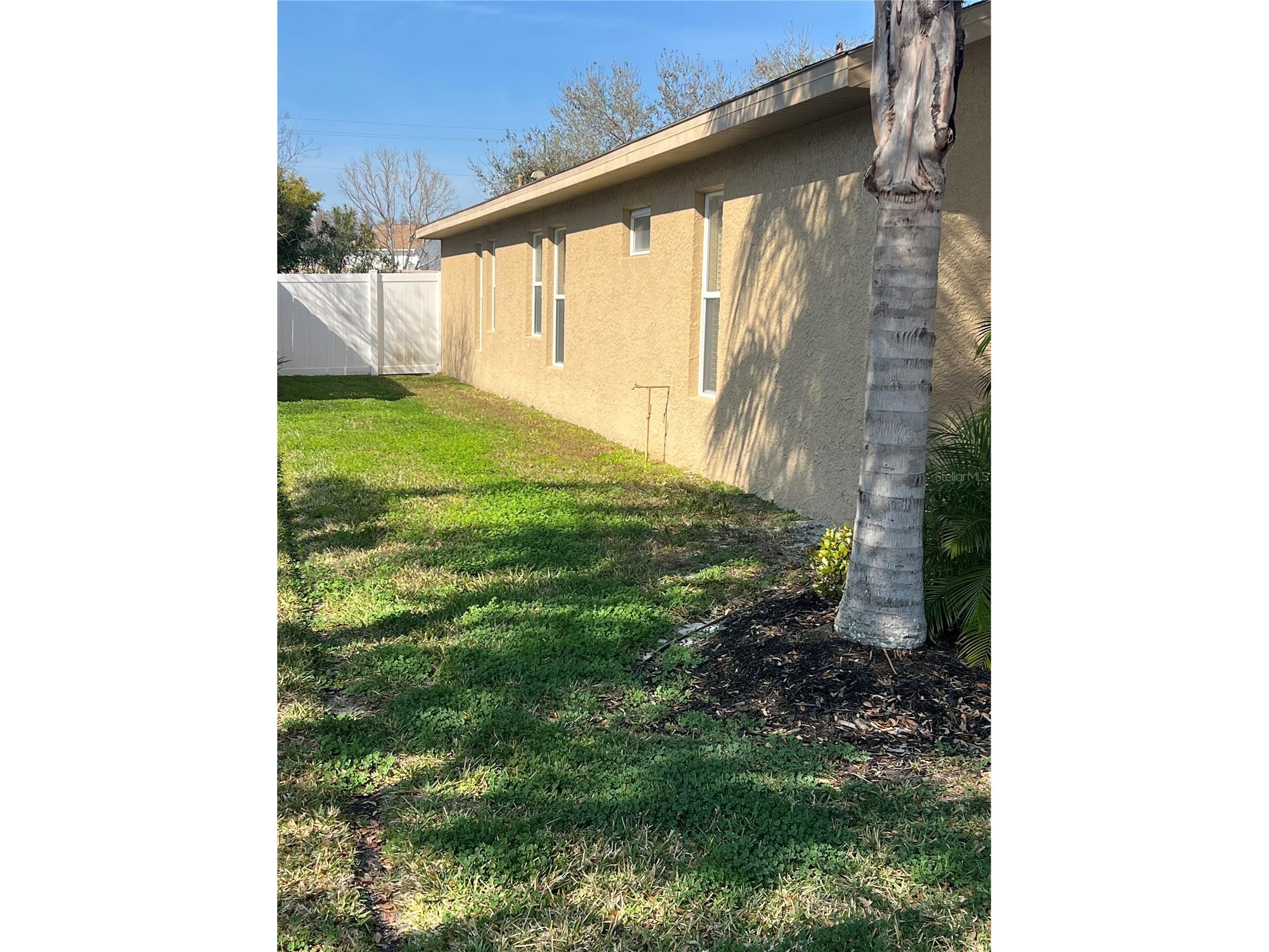 387 Tavernier Circle Oldsmar FL 34677 TB8480272 image49