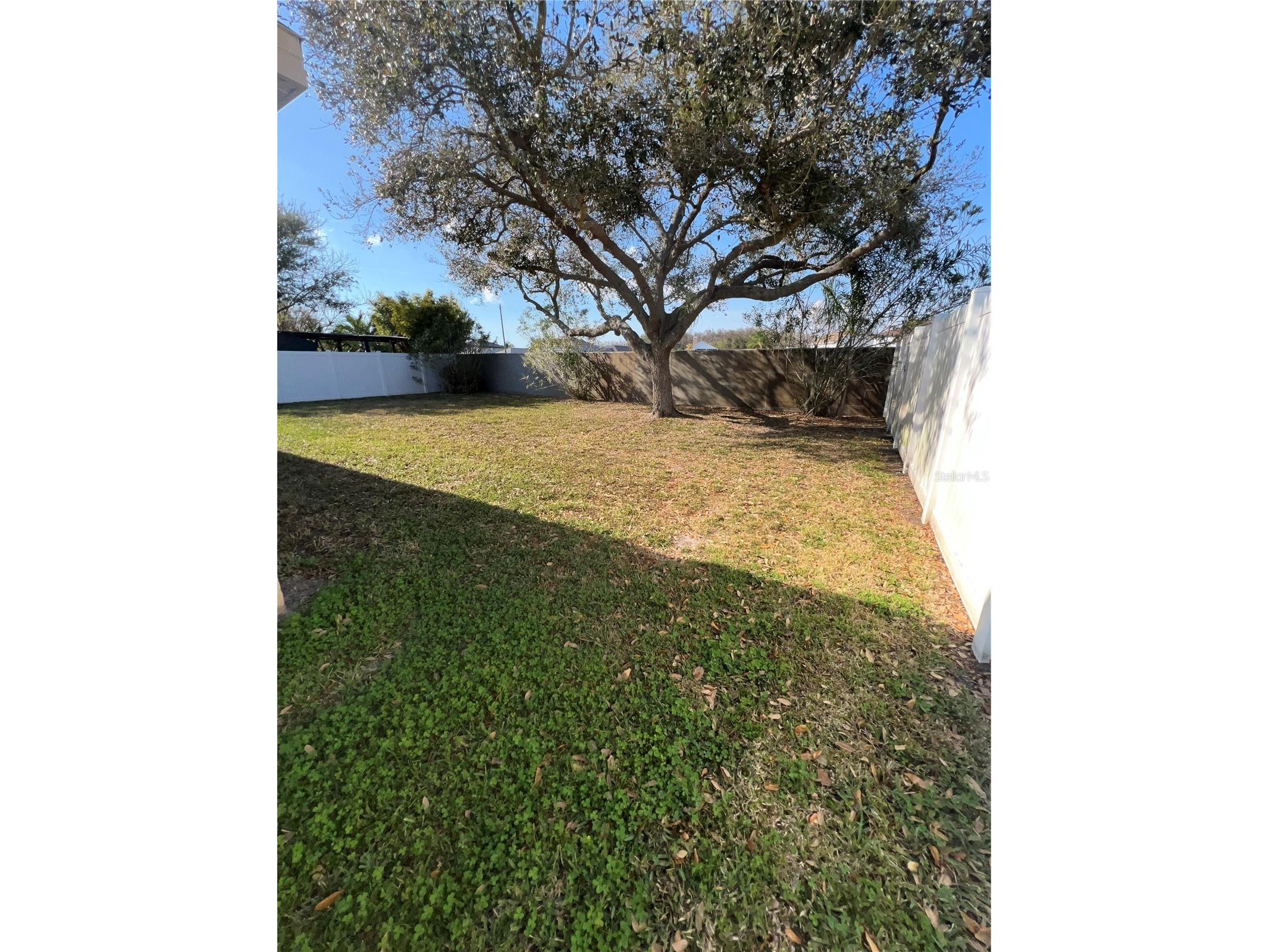 387 Tavernier Circle Oldsmar FL 34677 TB8480272 image50