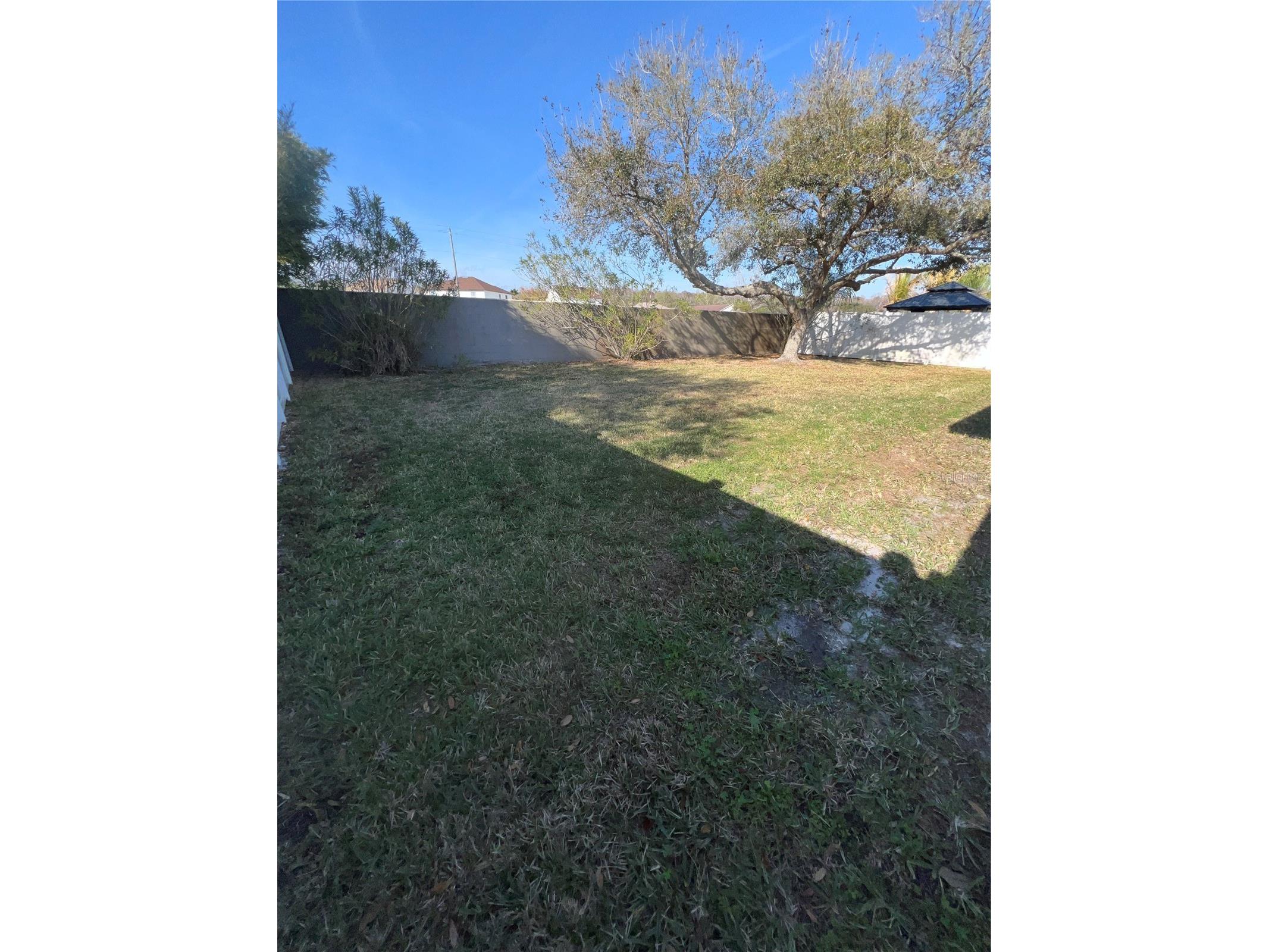 387 Tavernier Circle Oldsmar FL 34677 TB8480272 image53